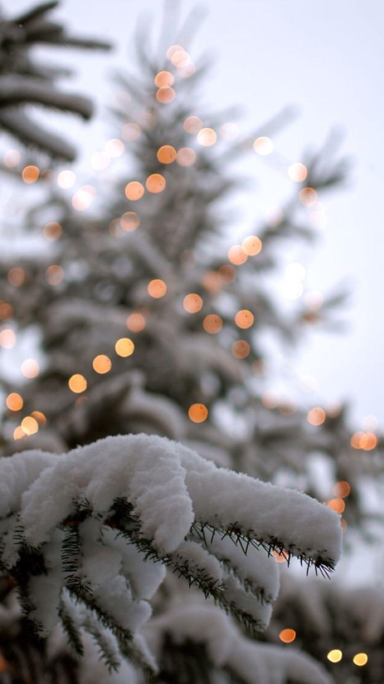1242x2208 Cute Aesthetic Winter Wallpaper