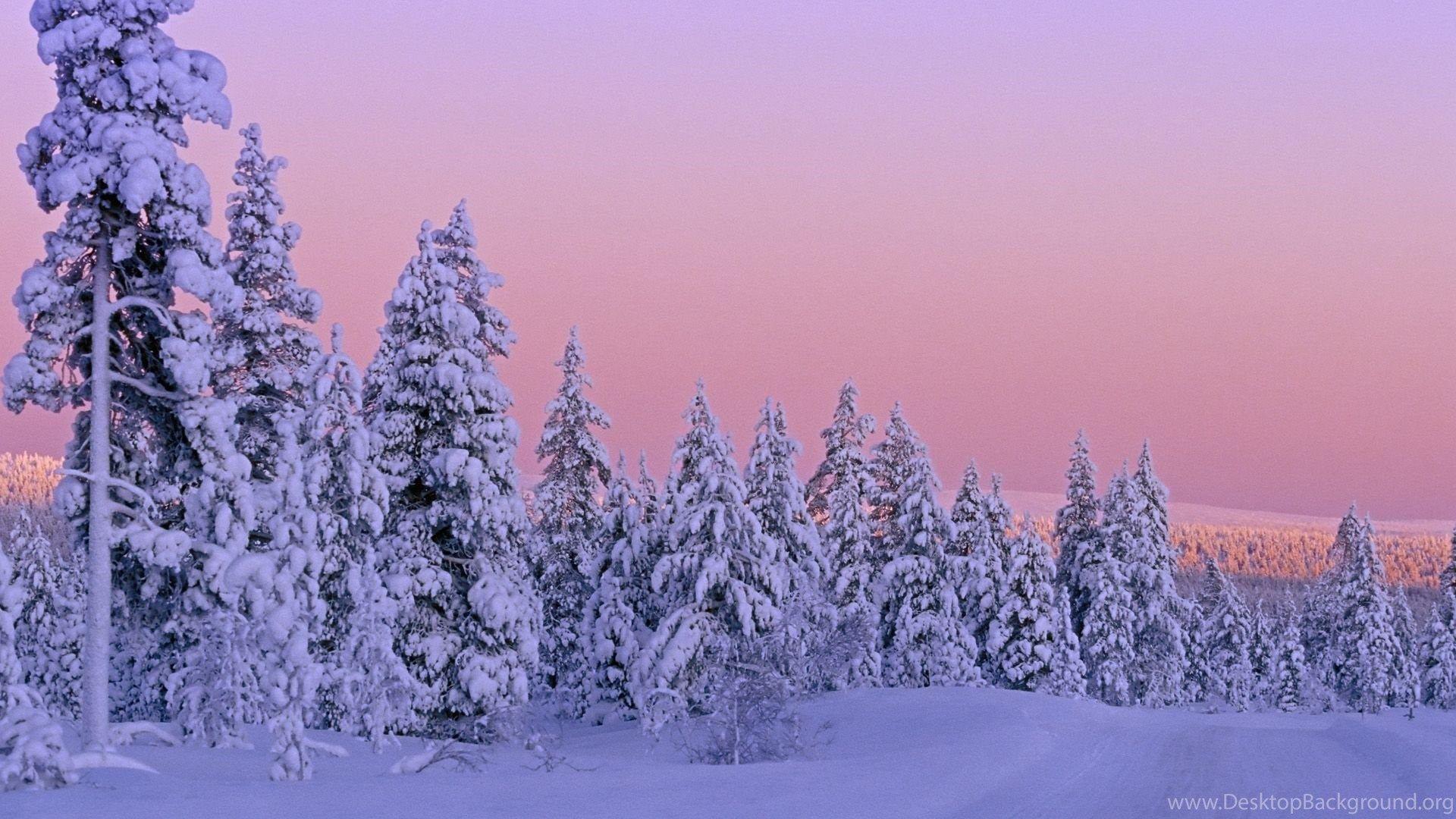 1920x1080 Pretty Winter Background HD Wallpaper Desktop Background