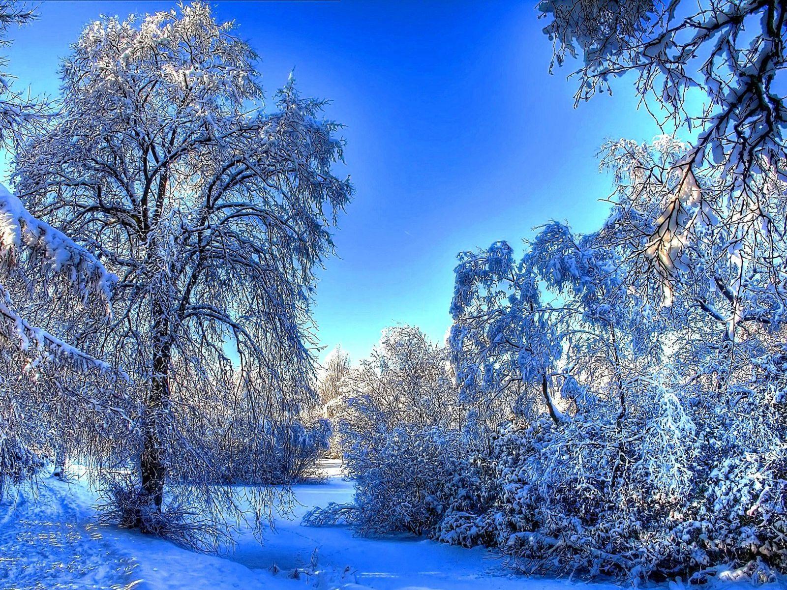 Pretty Winter Wallpapers Top Free Pretty Winter Backgrounds