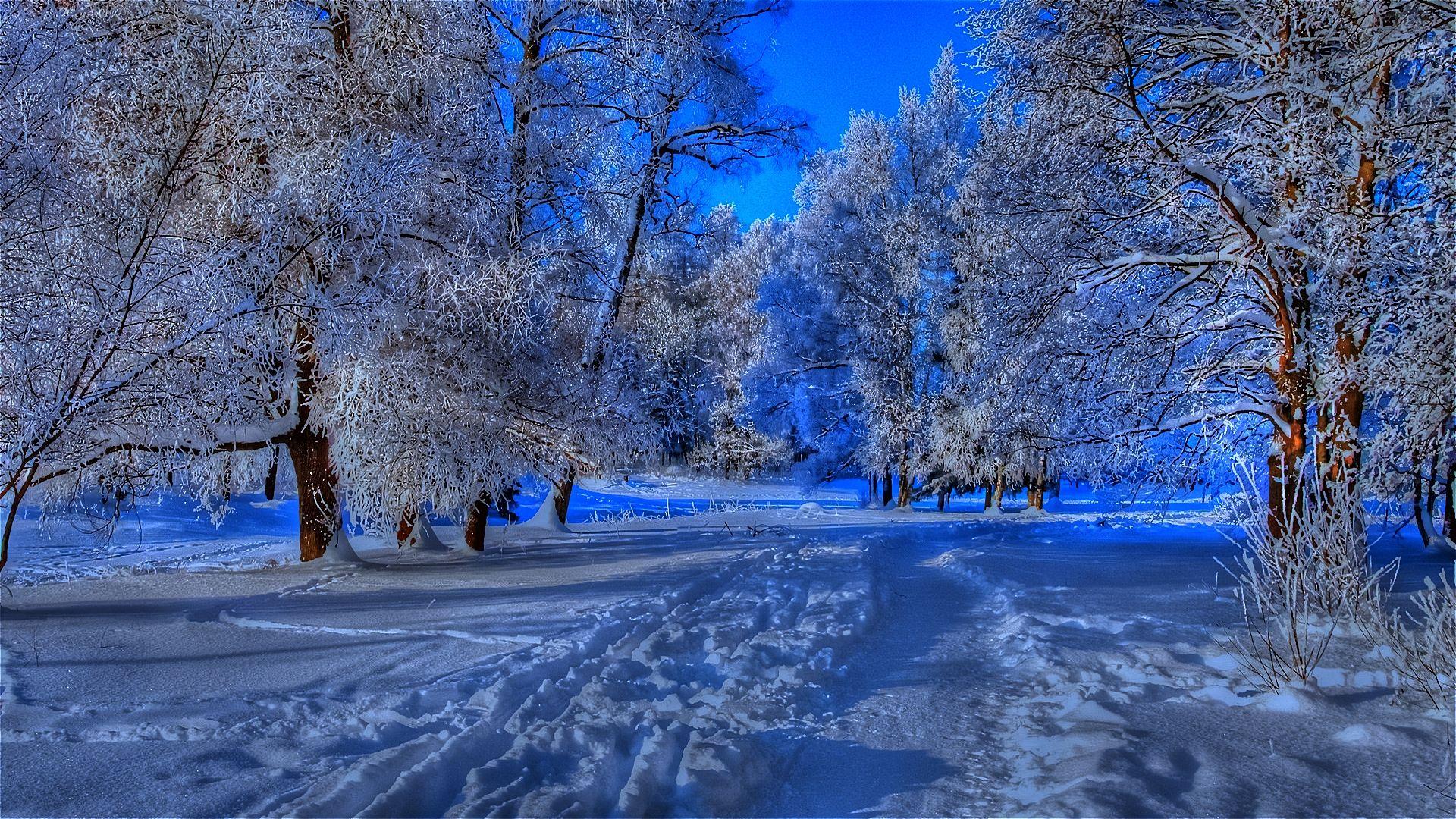 1920x1080 Beautiful Winter Desktop Background