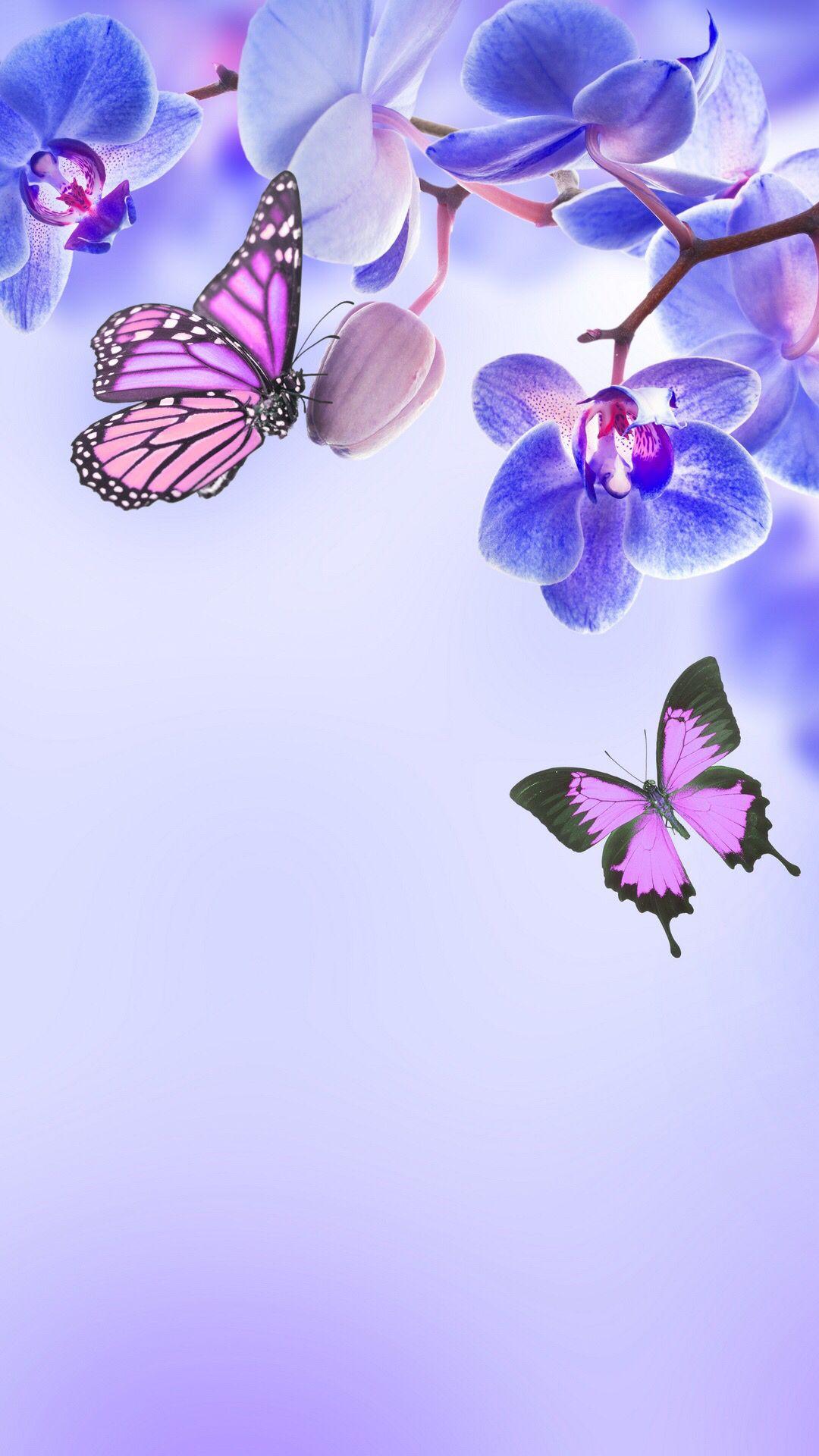 Blue and Purple Flowers and Butterfly Wallpapers - Top Free Blue and ...