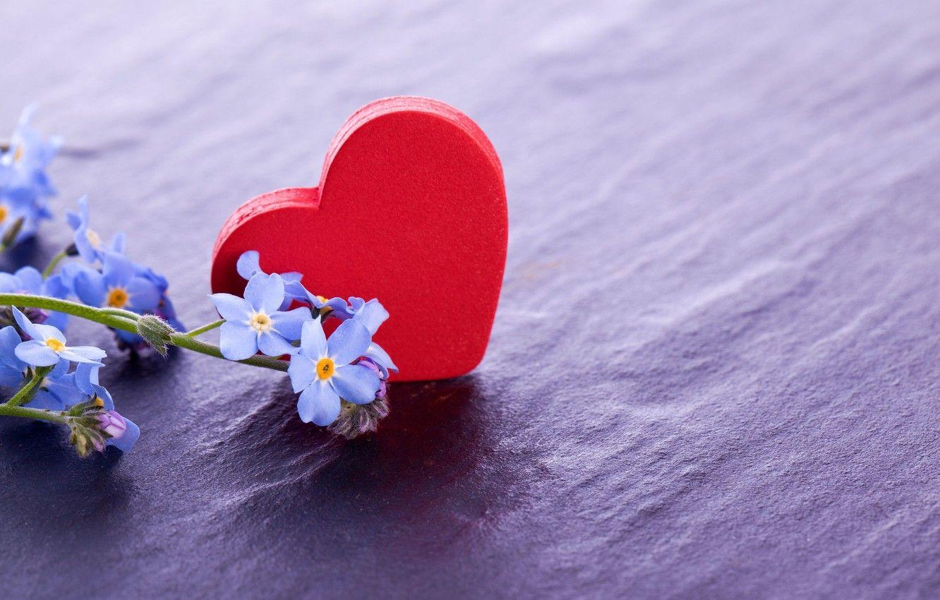 1332x850 Wallpaper flowers, background, red, widescreen, Wallpaper, mood, heart, wallpaper, flowers, heart, widescreen, background, full screen, HD wallpaper, widescreen, fullscreen image for desktop, section настроения
