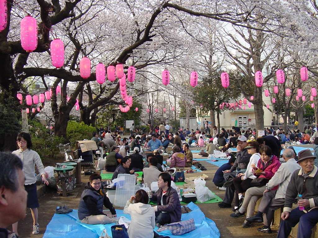 1024x768 Macon's Cherry Blossom Festival Needs More Japanese Influence