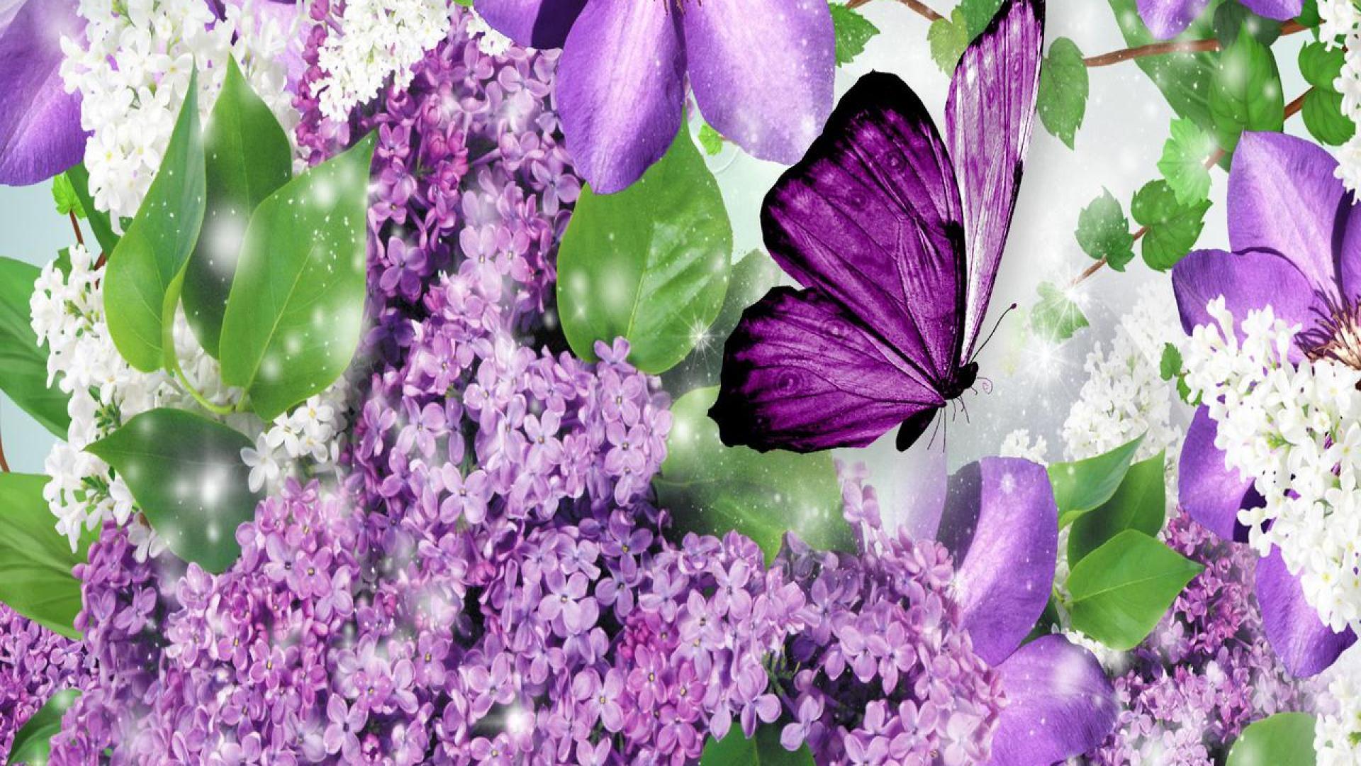 1920x1080 Butterfly Wallpaper Photo Gallery