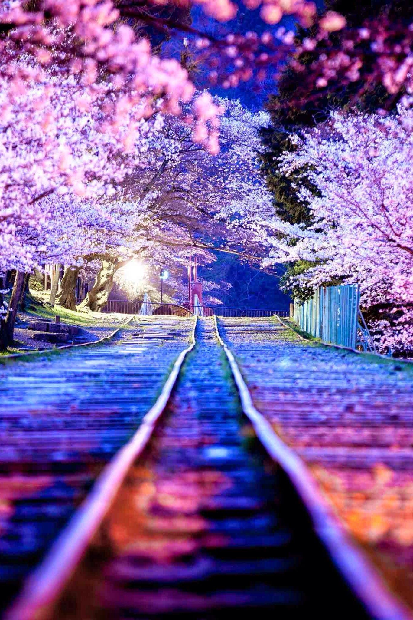 1366x2048 Cute wallpaper