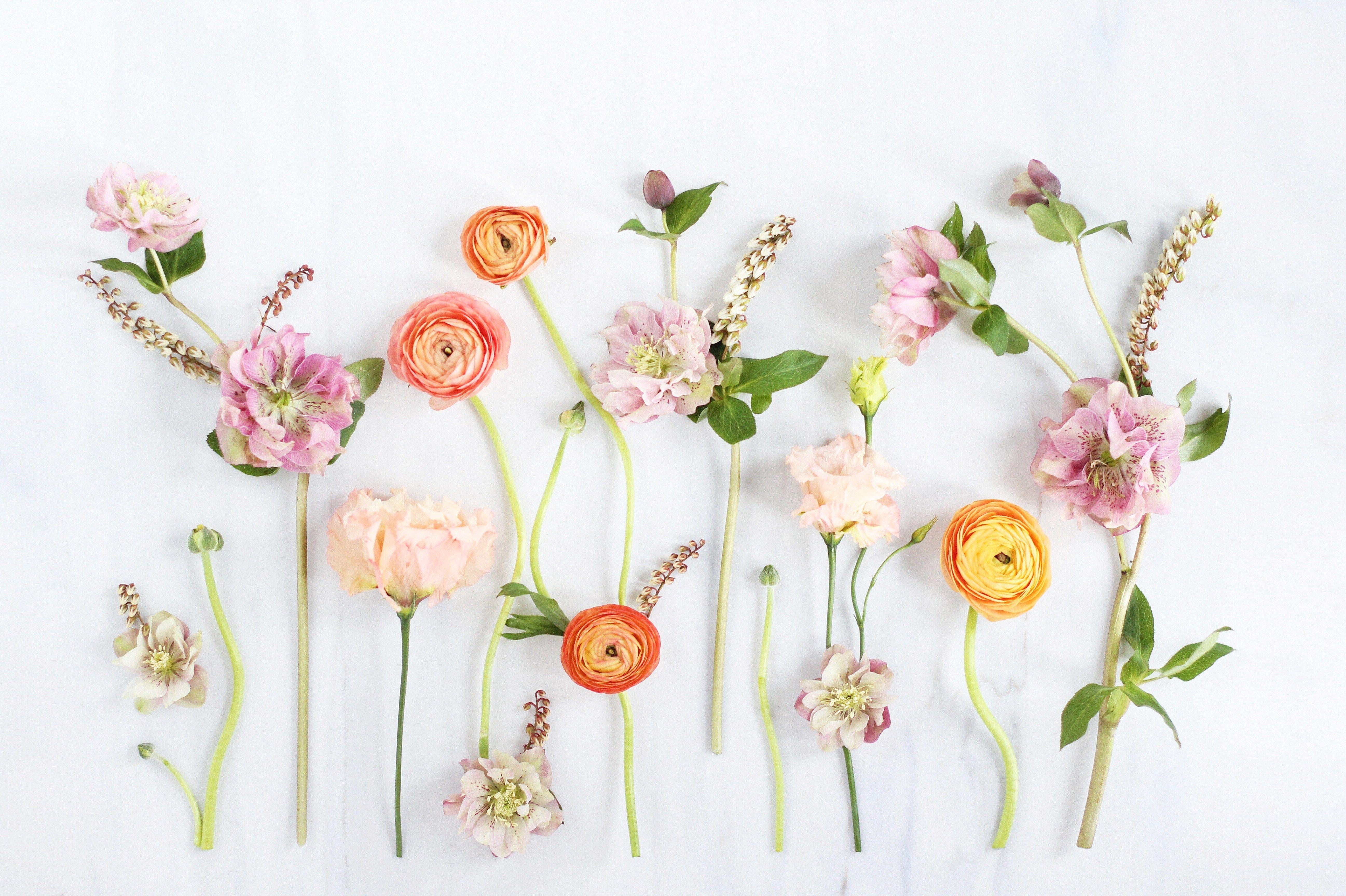 5188x3456 Floral Desktop Wallpaper