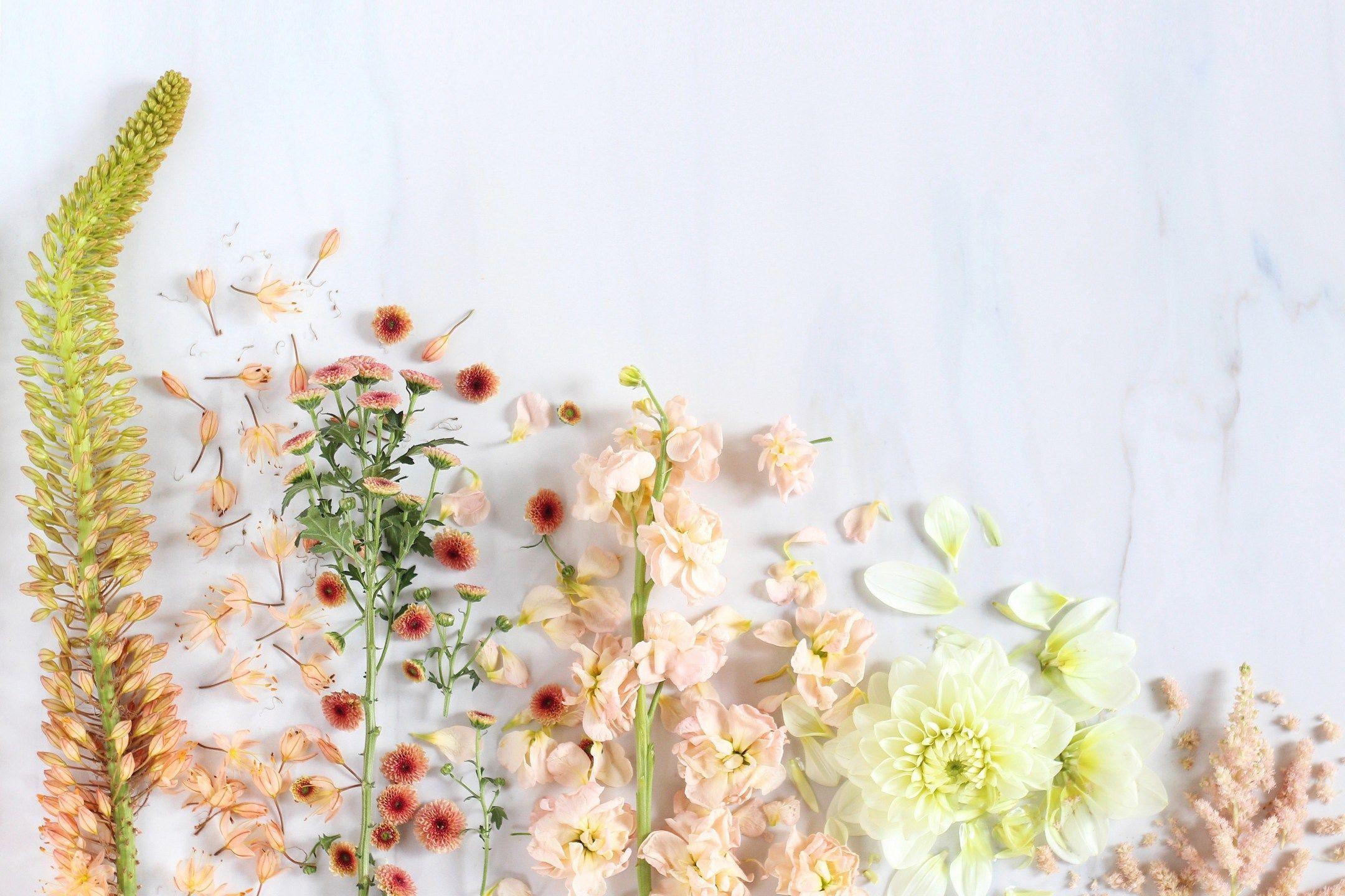 2160x1440 DIGITAL BLOOMS SEPTEMBER 2016. FREE TECH WALLPAPERS. Computer wallpaper desktop wallpaper, Flower desktop wallpaper, Laptop wallpaper desktop wallpaper