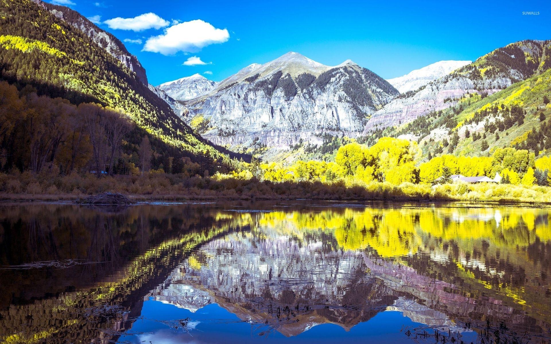 1920x1200 Yellow forest by the lake wallpaper wallpaper