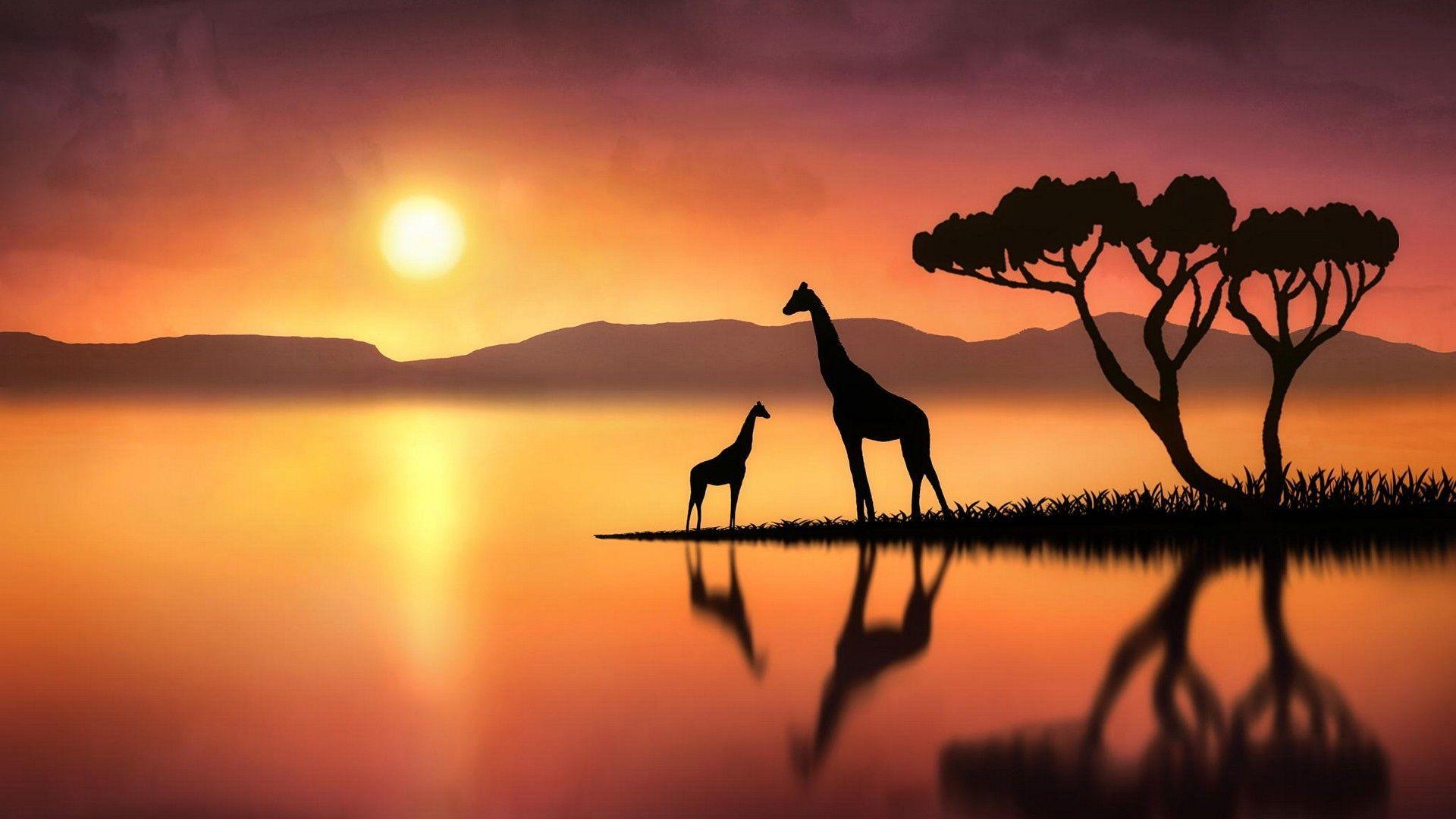 1920x1080 Giraffe Wallpaper HD Live Wallpaper HD. Giraffe painting, Giraffe picture, Giraffe art