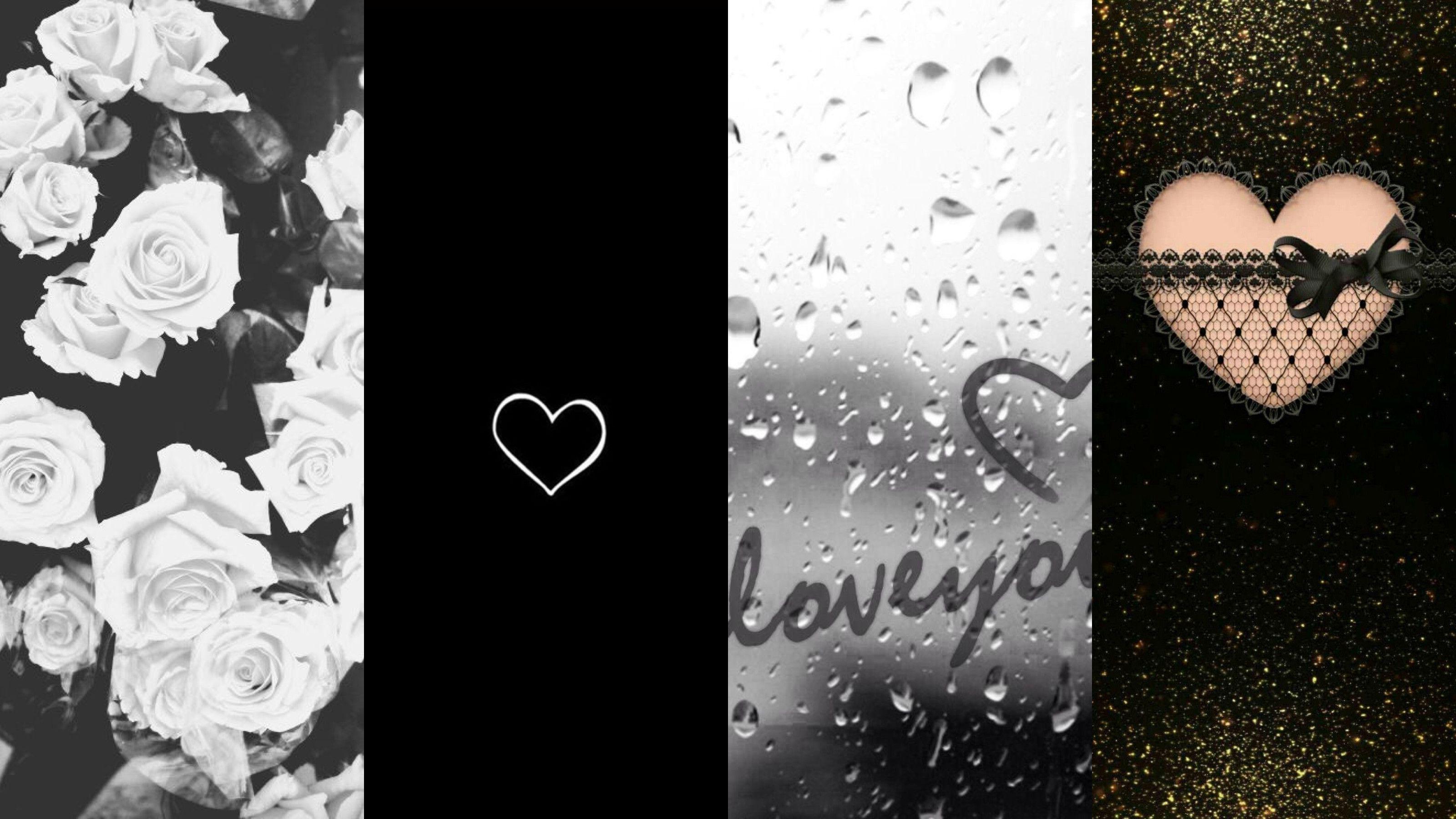 3200x1800 iPhone Wallpaper Black And White Rose