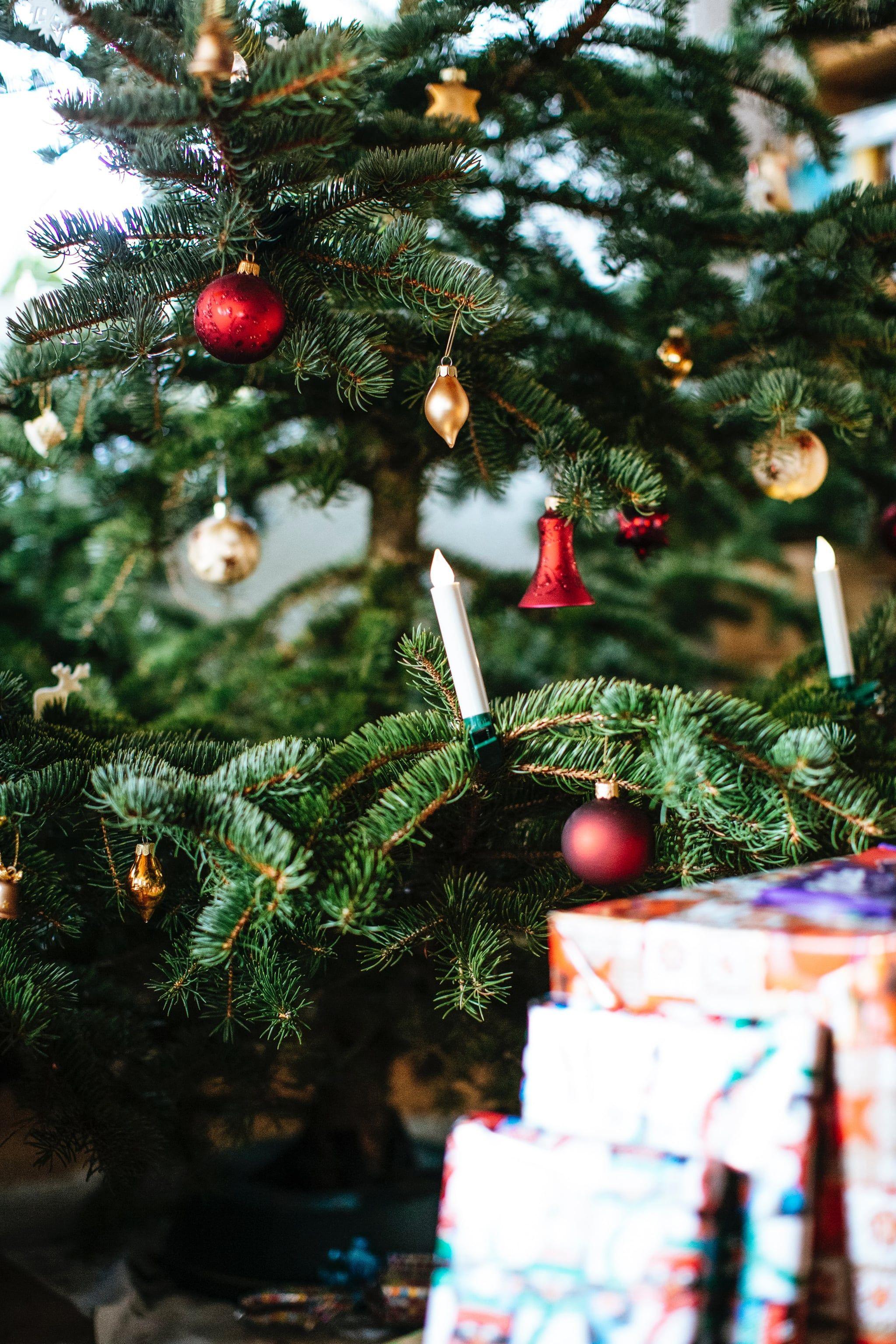2048x3072 Christmas Tree iPhone Wallpaper Christmas Wallpaper That'll Make Your Home Screen Aesthetically Pleasing This Holiday. Tech Photo 20