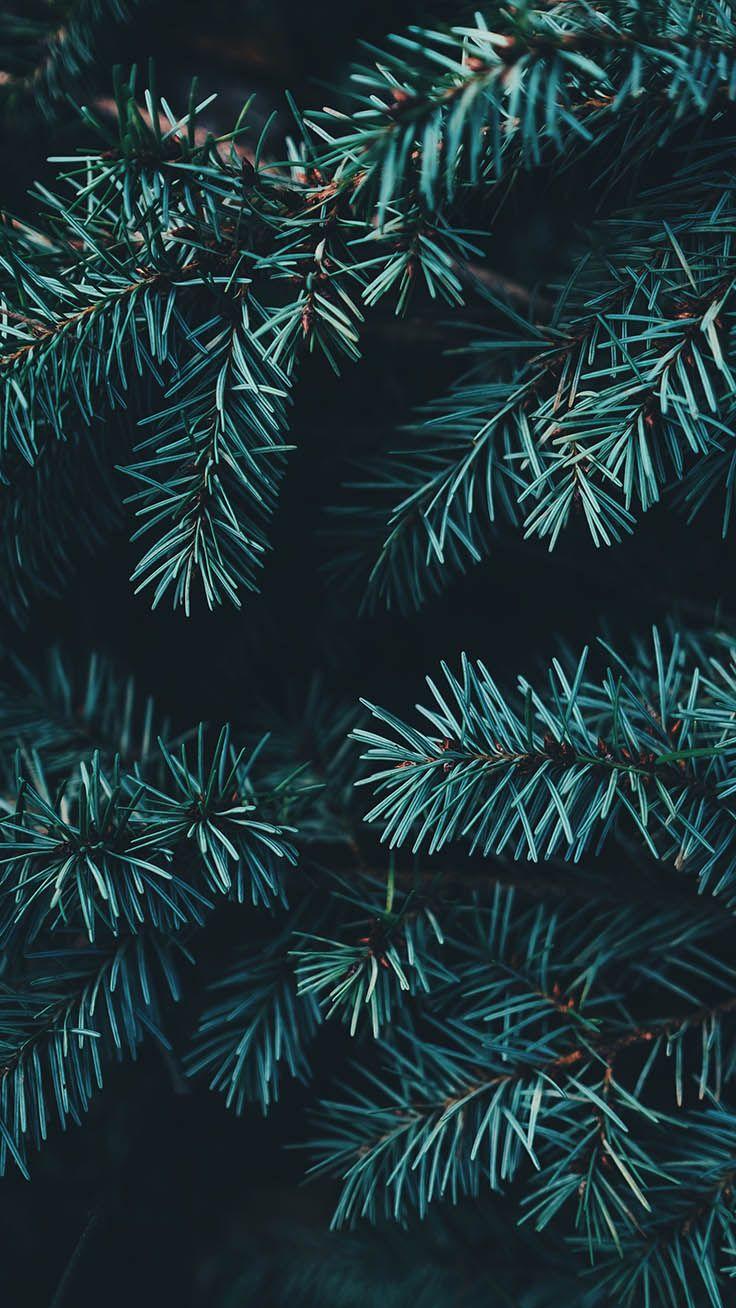 736x1308 Sparkly Christmas iPhone Xs Max Wallpaper