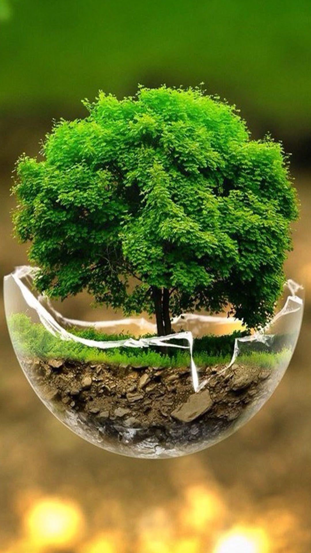 1080x1920 Bonsai Tree iPhone Wallpaper: Image