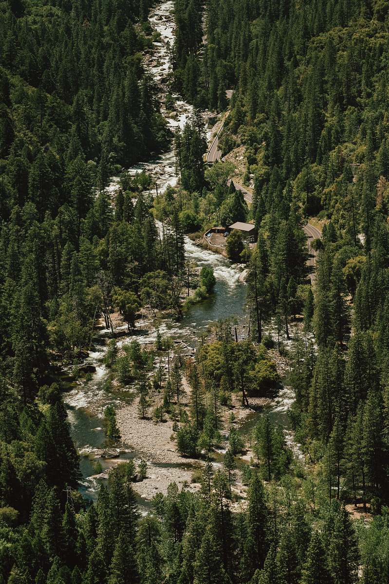 799x1200 iPhone Background River Between Trees iPhone Wallpaper Image