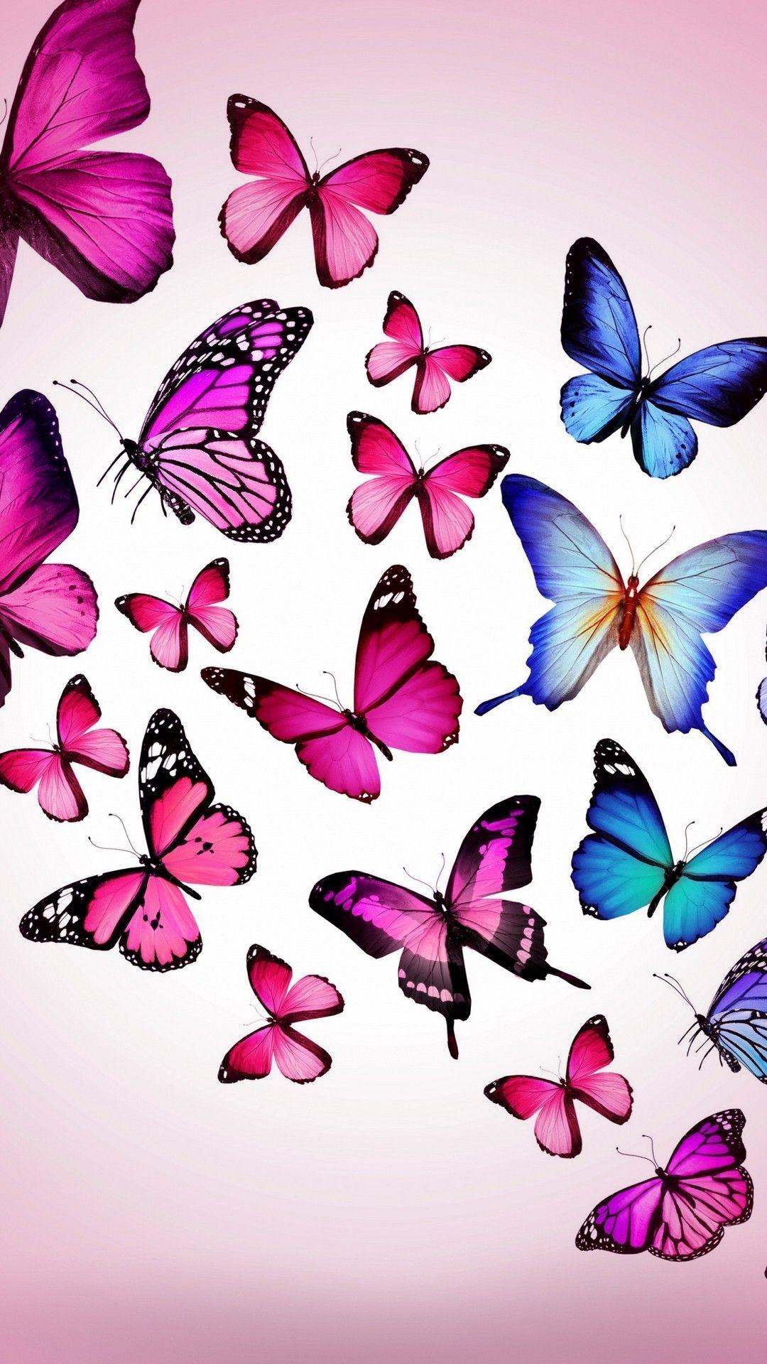 1080x1920 Hình nền iPhone 7 Pink Butterfly Resolution - Hình nền điện thoại Con bướm hồng - Tải xuống Hình nền & Hình nền HD