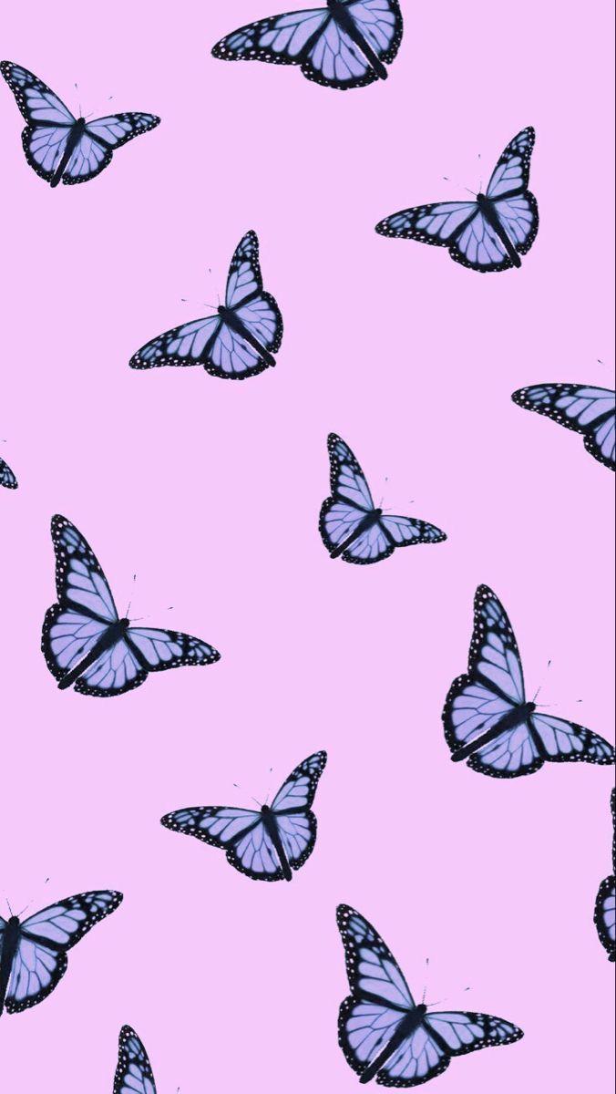 Bling Butterfly Wallpapers - Top Free Bling Butterfly Backgrounds ...