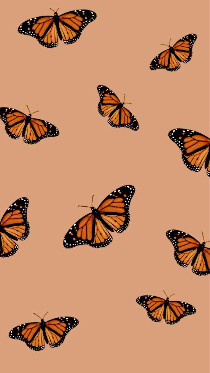 676x1200 pin. Butterfly wallpaper iphone, iPhone wallpaper vintage, Best iphone wallpaper