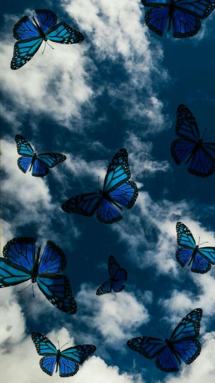 736x1309 Aesthetic Tumblr Blue Butterfly Wallpaper iPhone