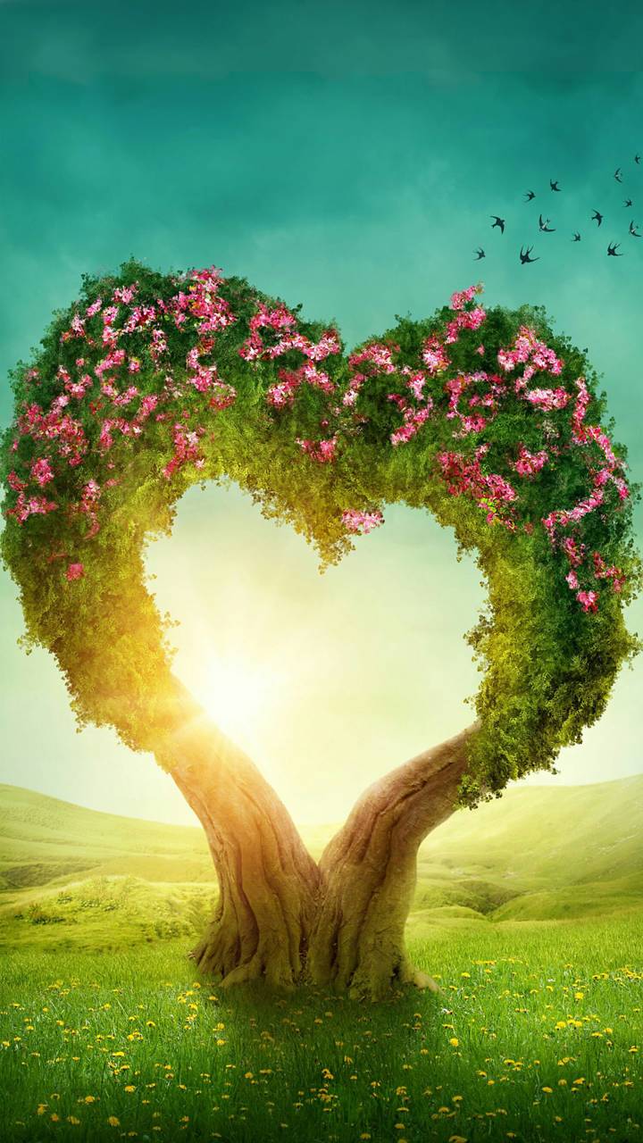 Love Tree Wallpapers - Top Free Love Tree Backgrounds - WallpaperAccess