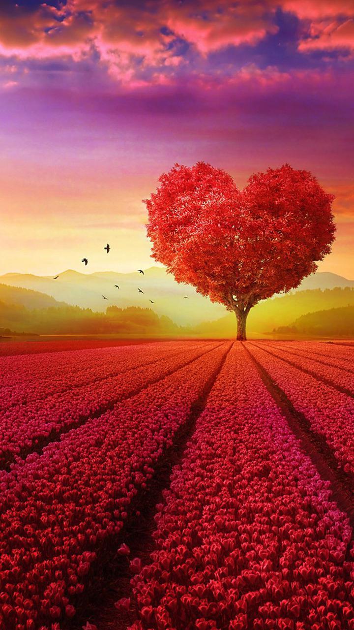 Love Tree Wallpapers - Top Free Love Tree Backgrounds - WallpaperAccess