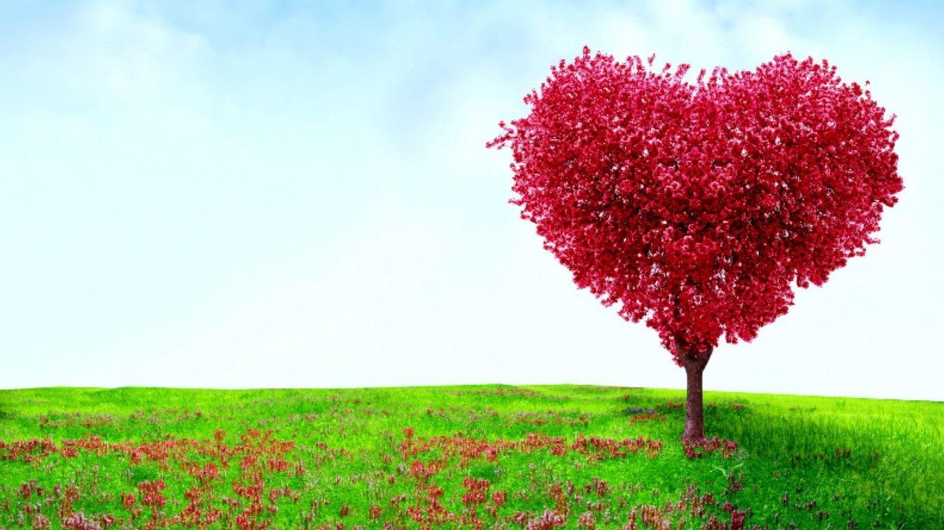 Love Tree Wallpapers - Top Free Love Tree Backgrounds - WallpaperAccess