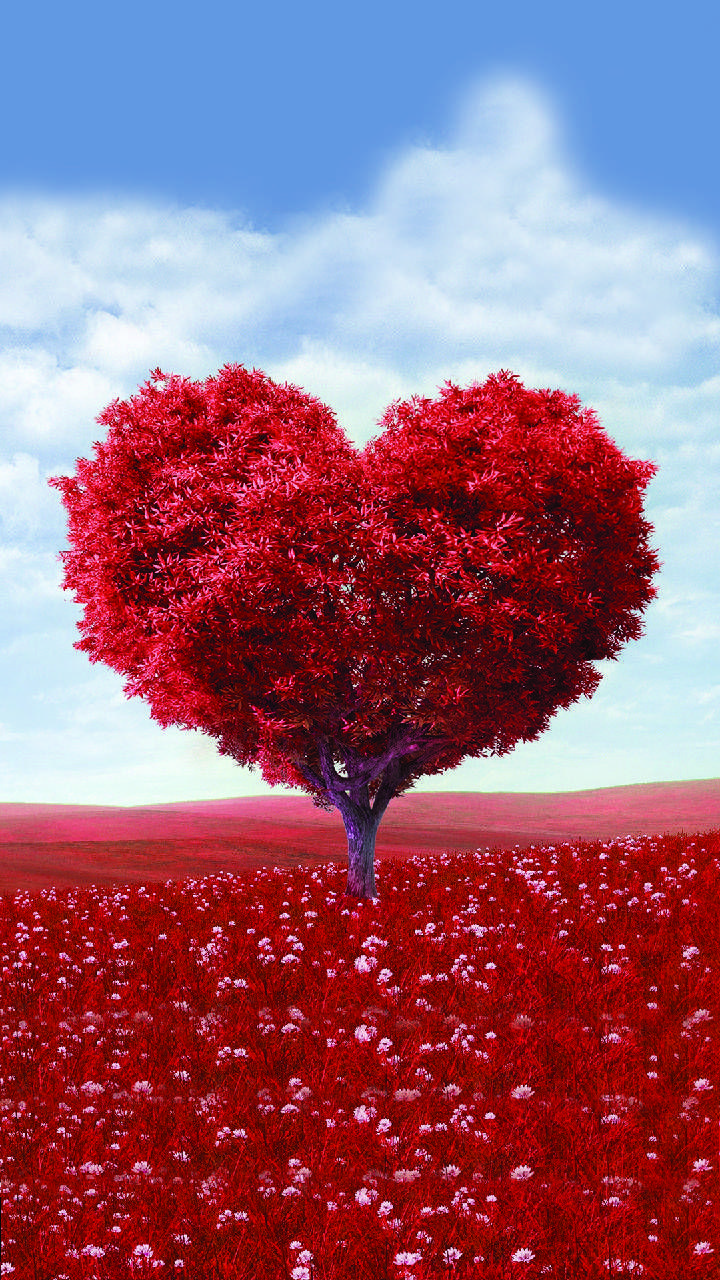 Love Tree Wallpapers - Top Free Love Tree Backgrounds - WallpaperAccess