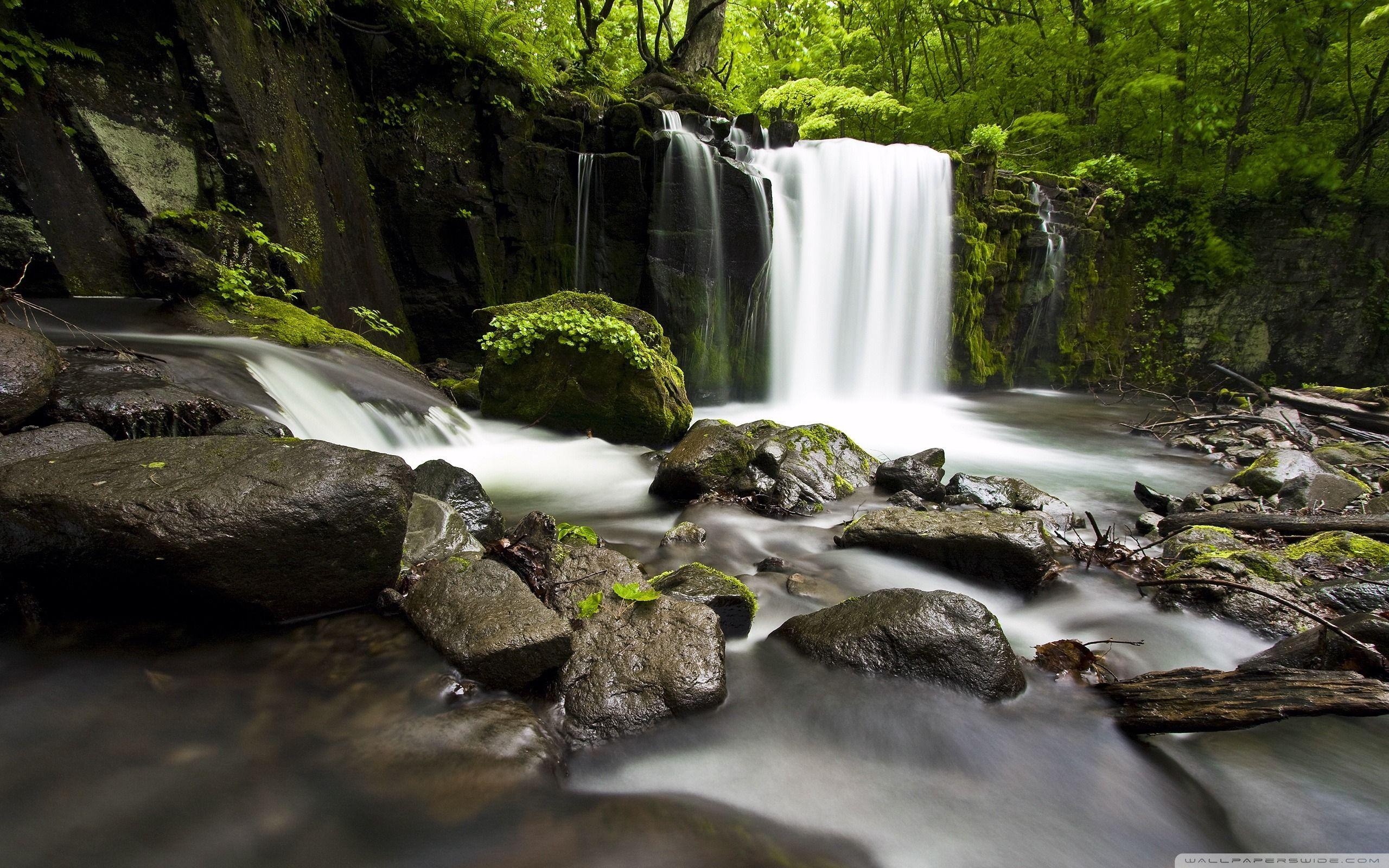 2560x1600 Natural Water Wallpaper Desktop