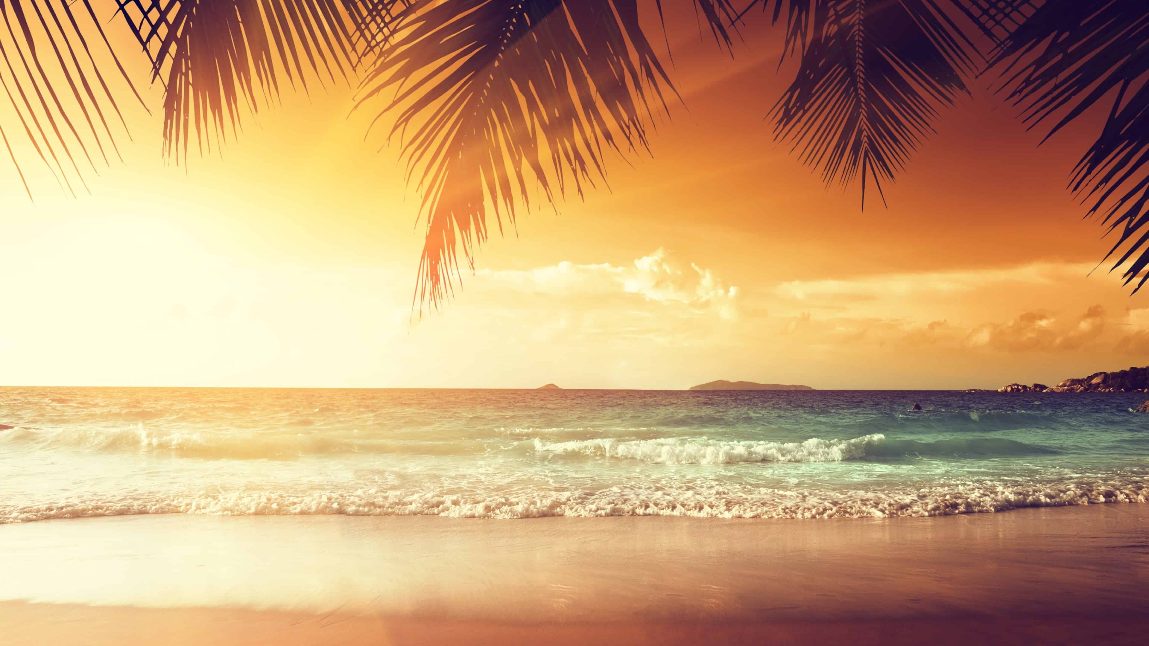 3840x2160 Tropical Beach With Palm Trees At Sunset UHD 4K Wallpaper