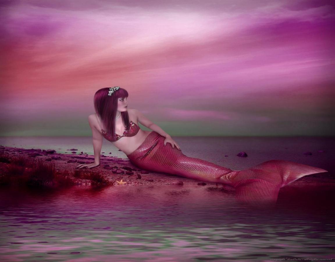 1152x900 Mermaid wallpaper HD for desktop background