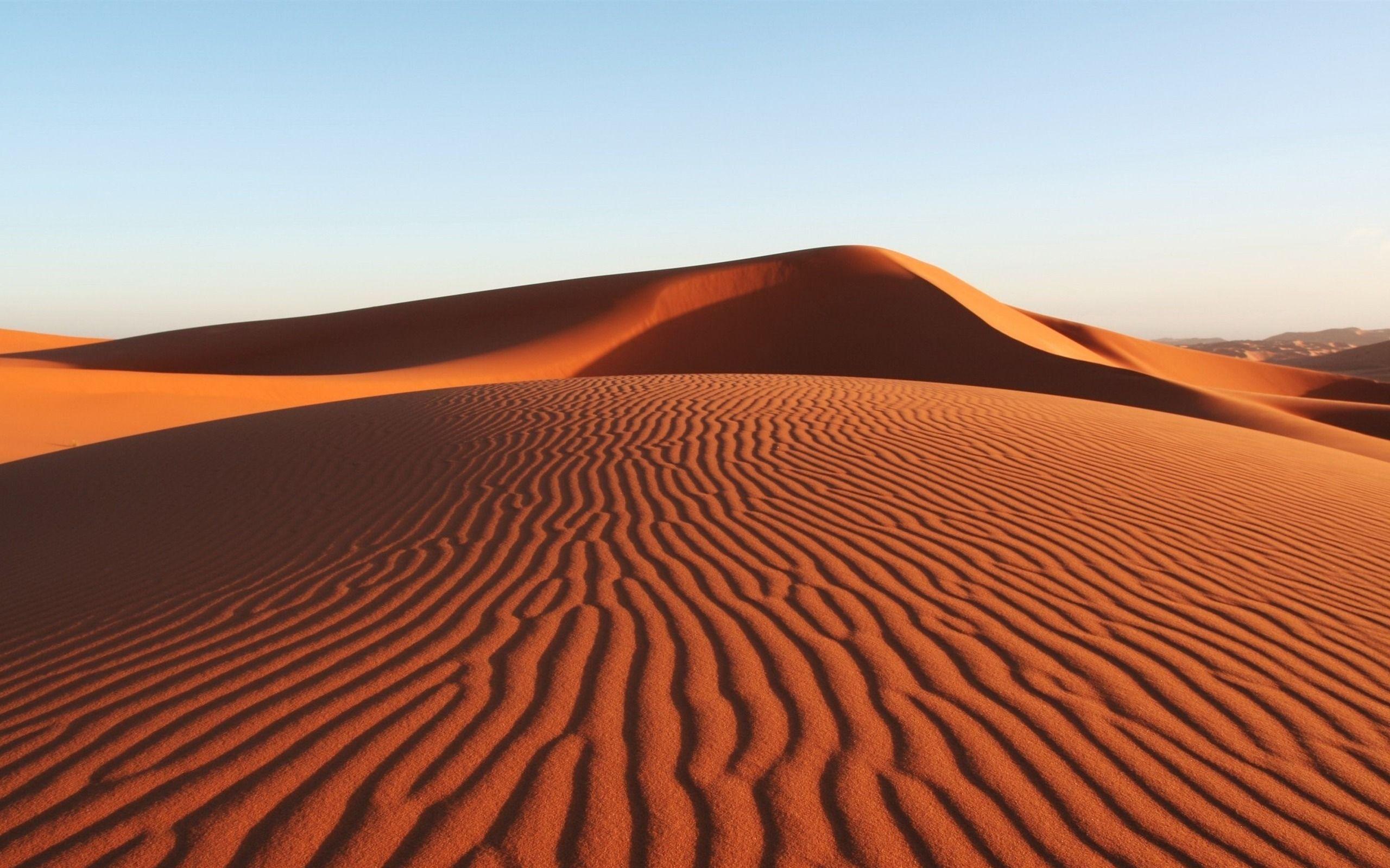 2560x1600 Brazil Desert. Desert Dunes Amazing Desert Scenery Desktop