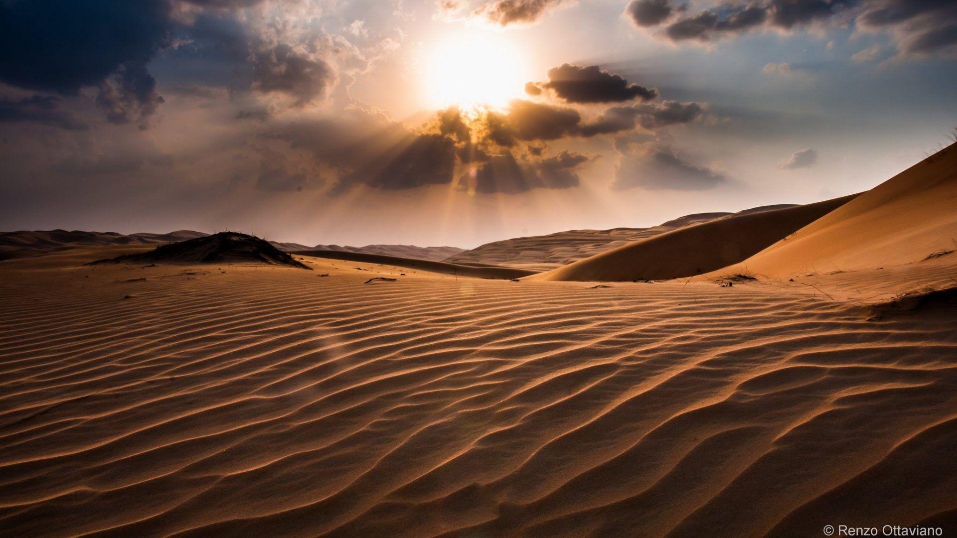 1920x1080 Deserts wallpaper: Garden Springs Botanical California Palm