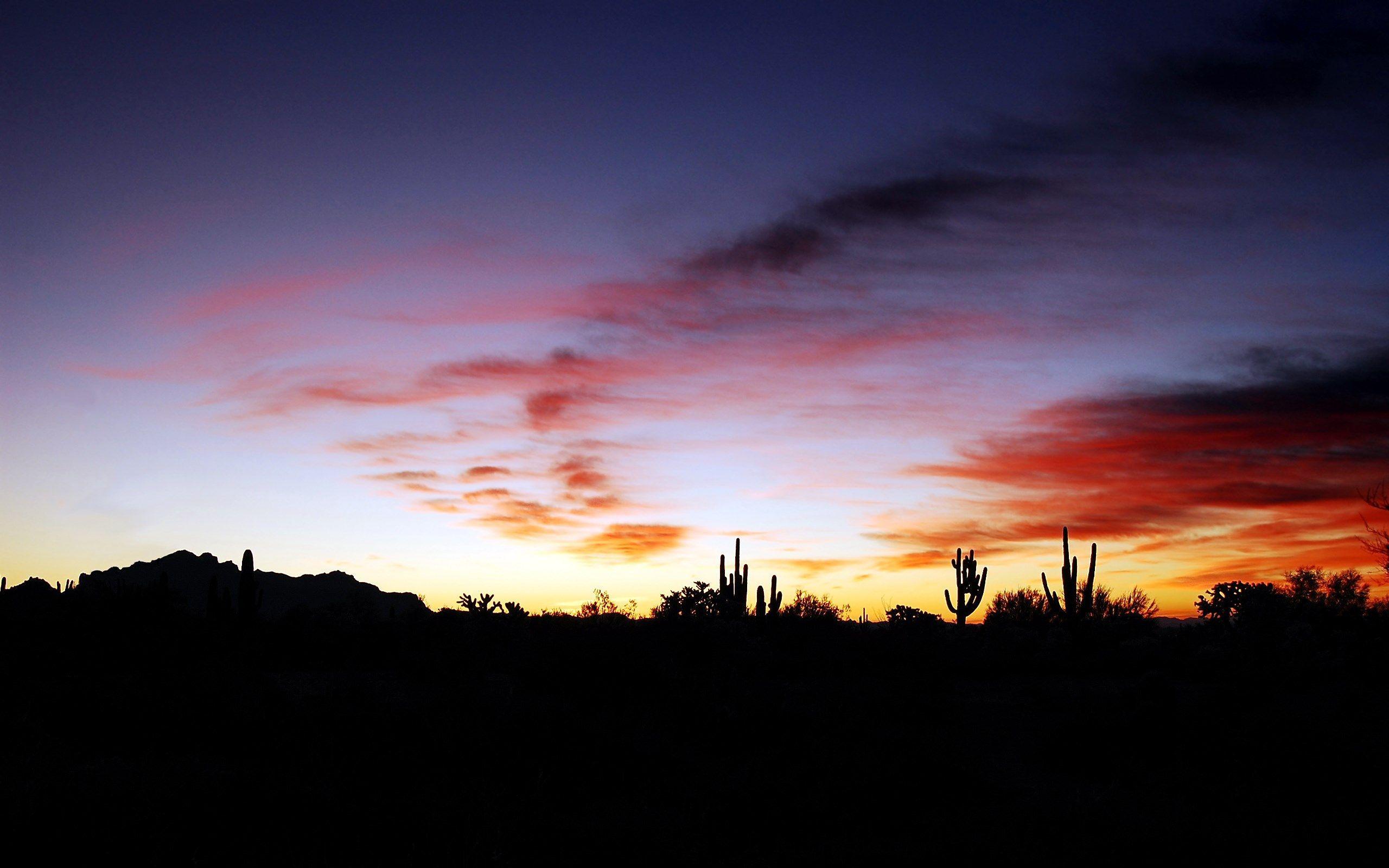 2560x1600 desert category for Desktop: desert pic