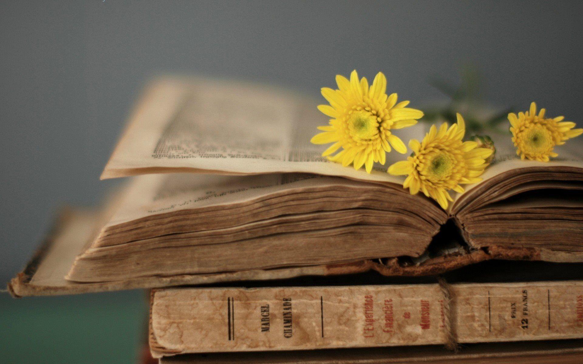 1920x1200 Books And Flowers Wallpaper
