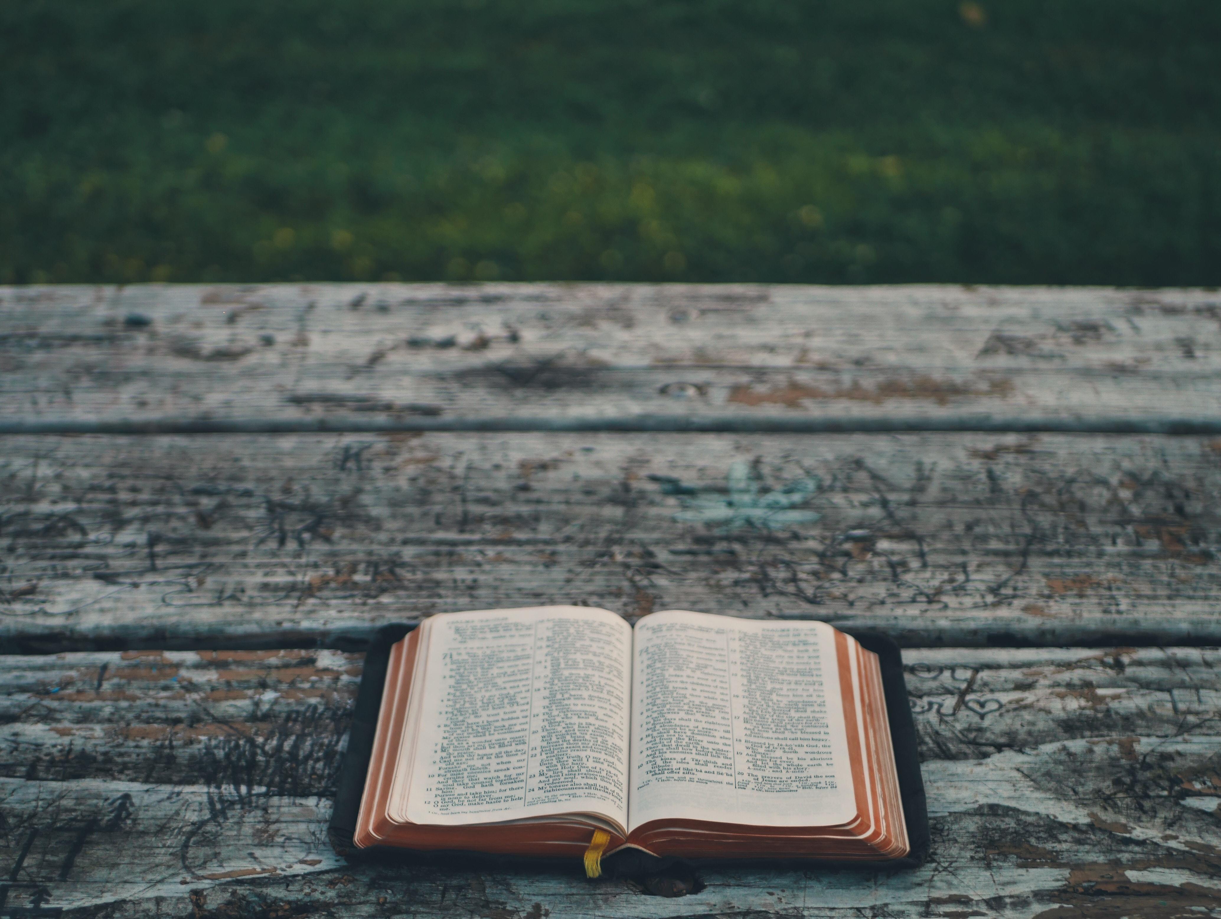 4136x3114 Open Book Background Image Book Background HD HD Wallpaper