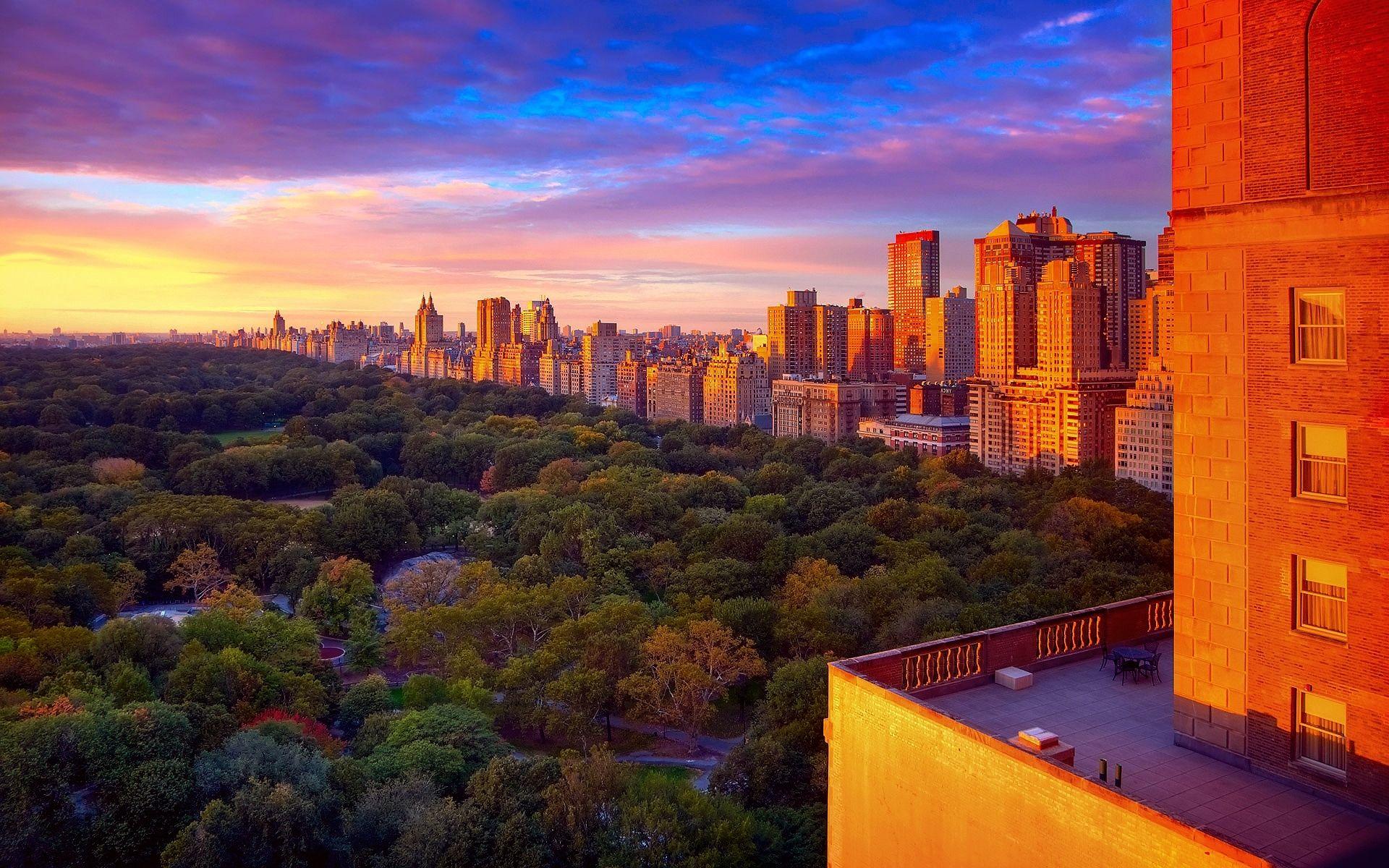 Central Park New York Photos Download The BEST Free Central Park New York  Stock Photos  HD Images