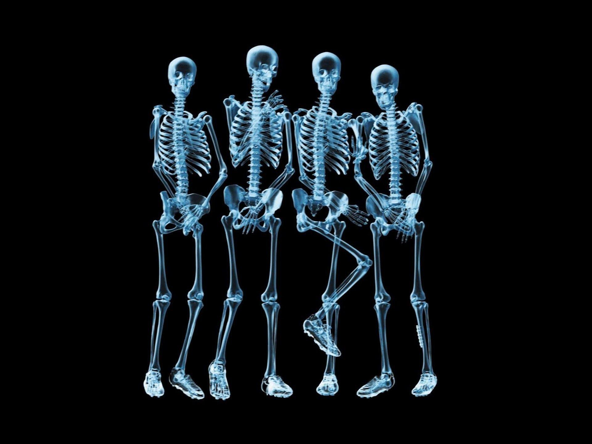 Funny Skeleton Wallpapers Top Free Funny Skeleton Backgrounds