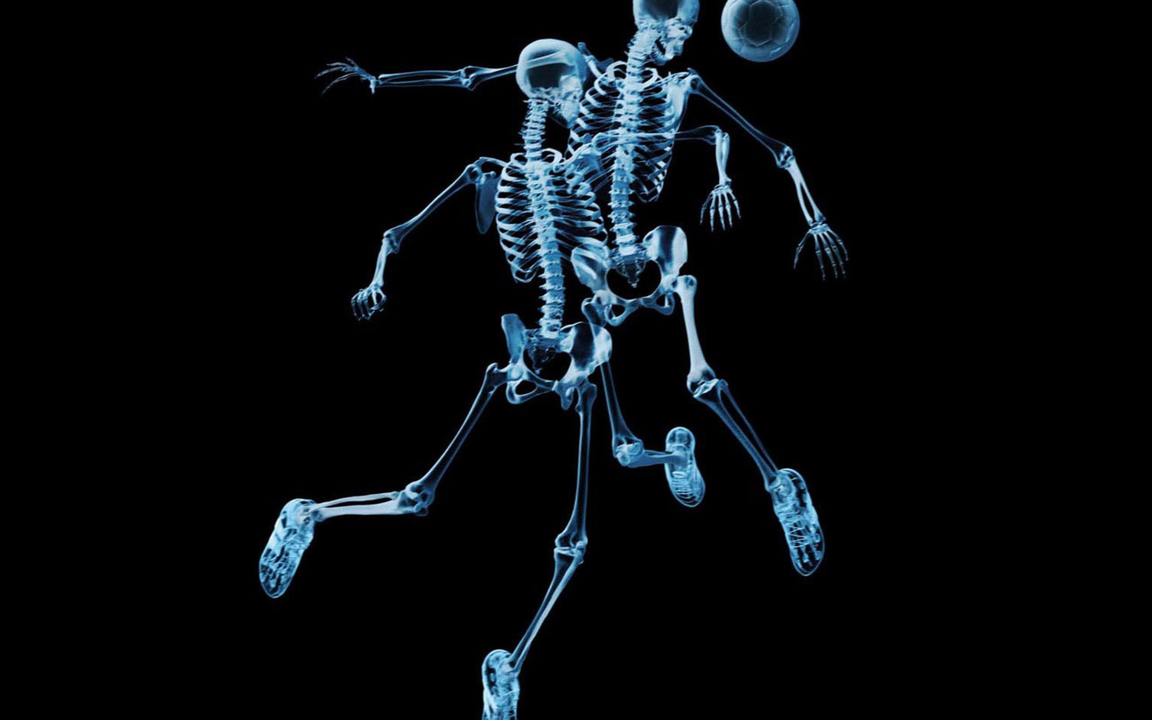 Funny Skeleton Wallpapers - Top Free Funny Skeleton Backgrounds -  WallpaperAccess
