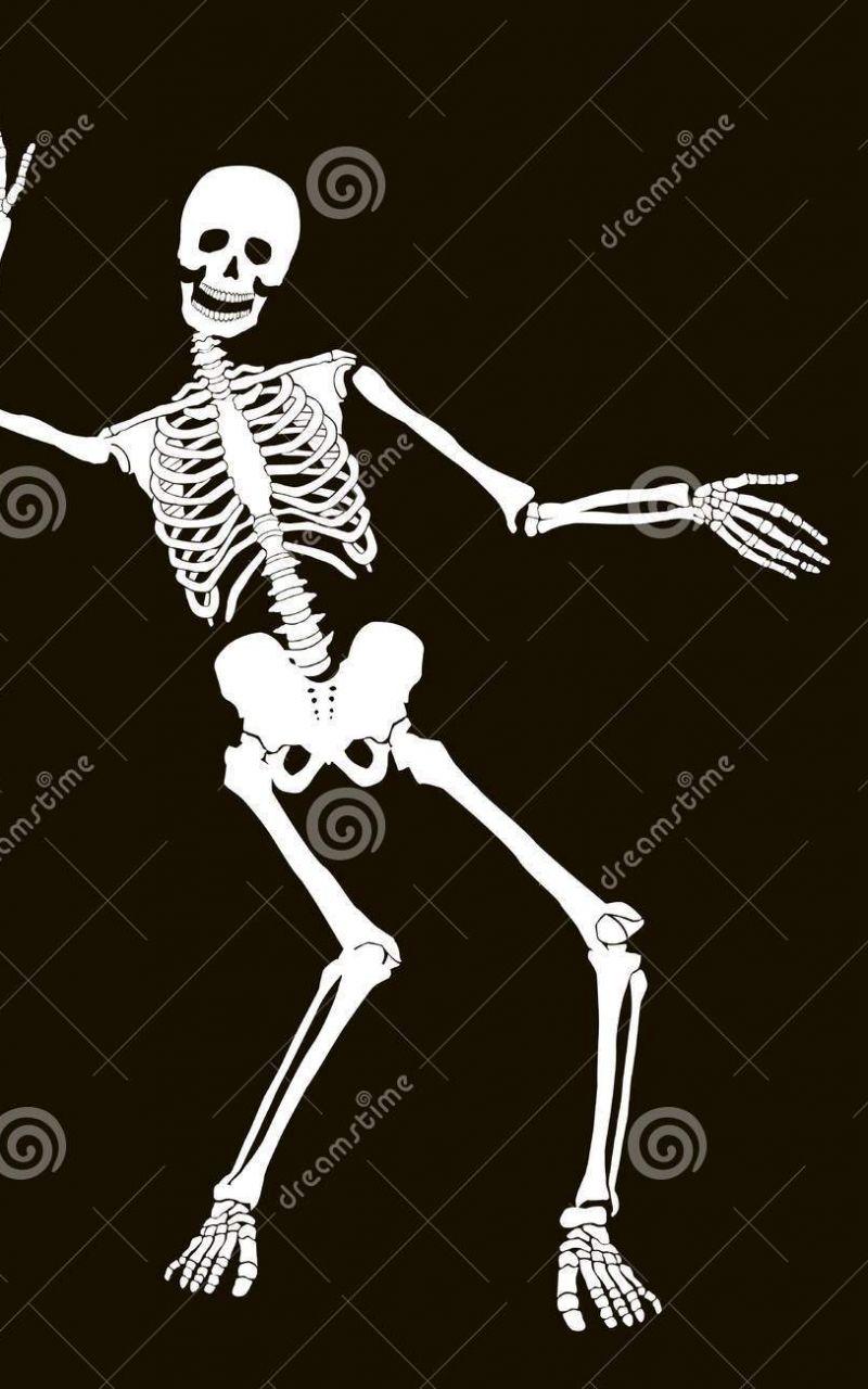Funny Skeleton Wallpapers Top Free Funny Skeleton Backgrounds
