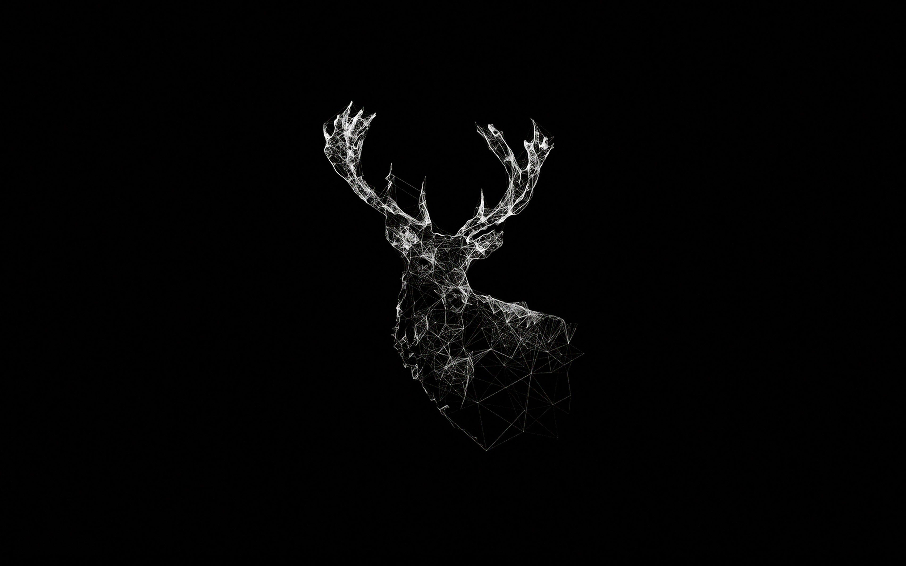 3840x2400 wallpaper for desktop, laptop. deer animal illust dark