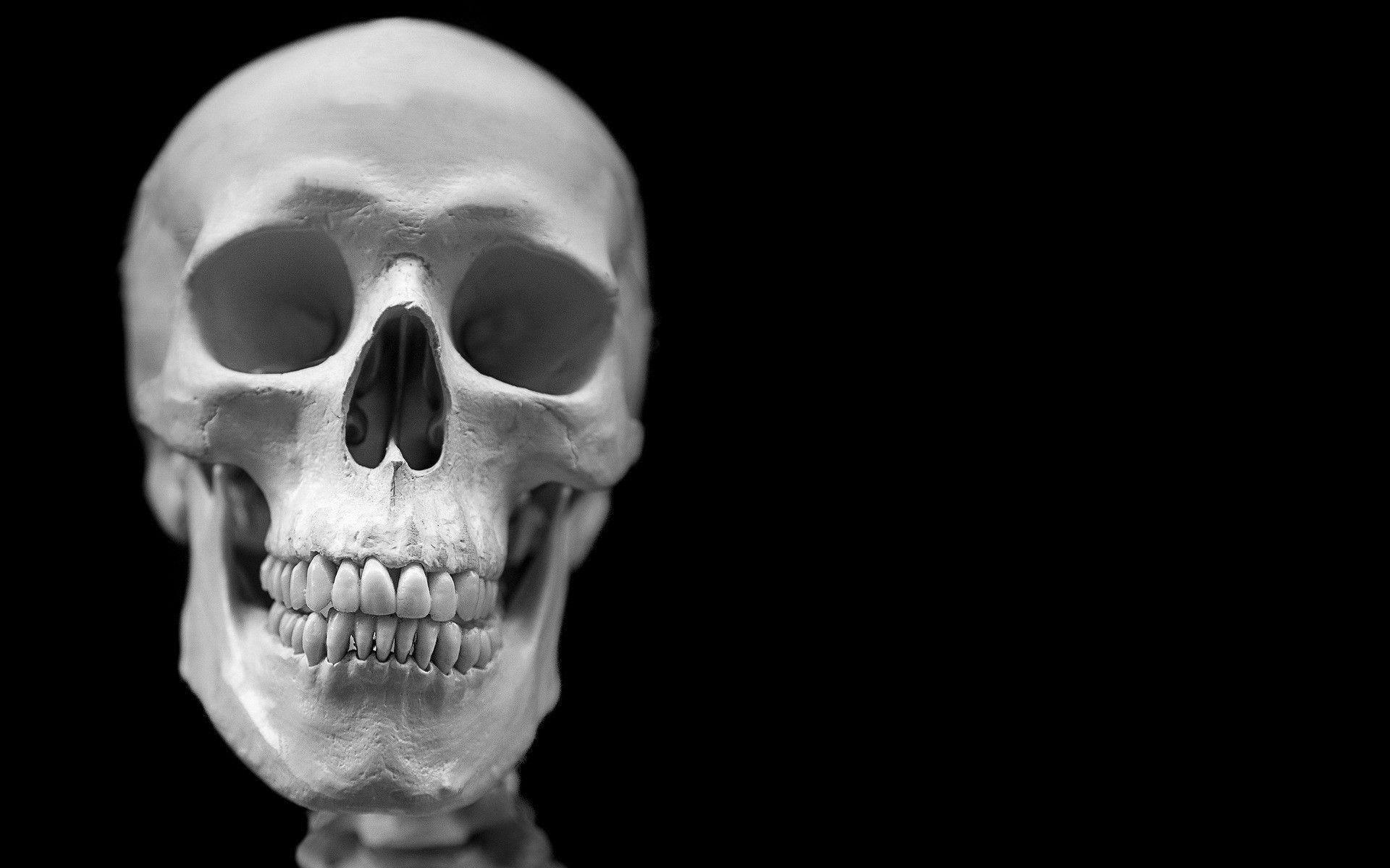 1920x1200 Beautiful Funny Skeleton Wallpaper