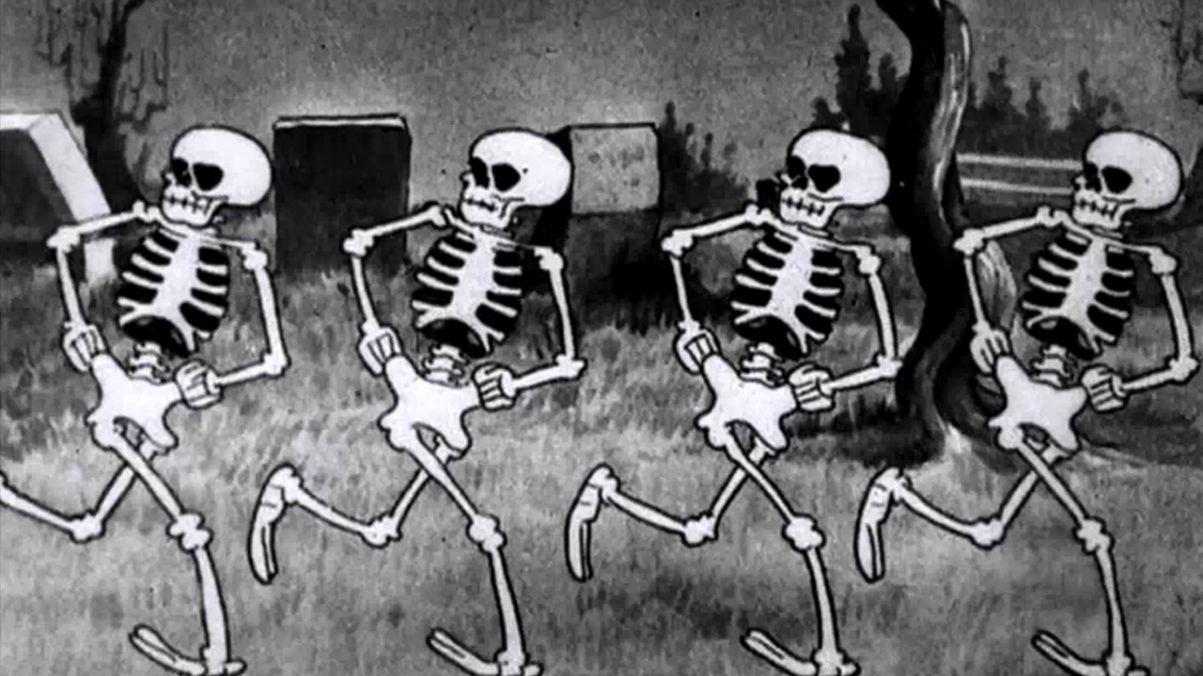 Funny Skeleton Wallpapers Top Free Funny Skeleton Backgrounds