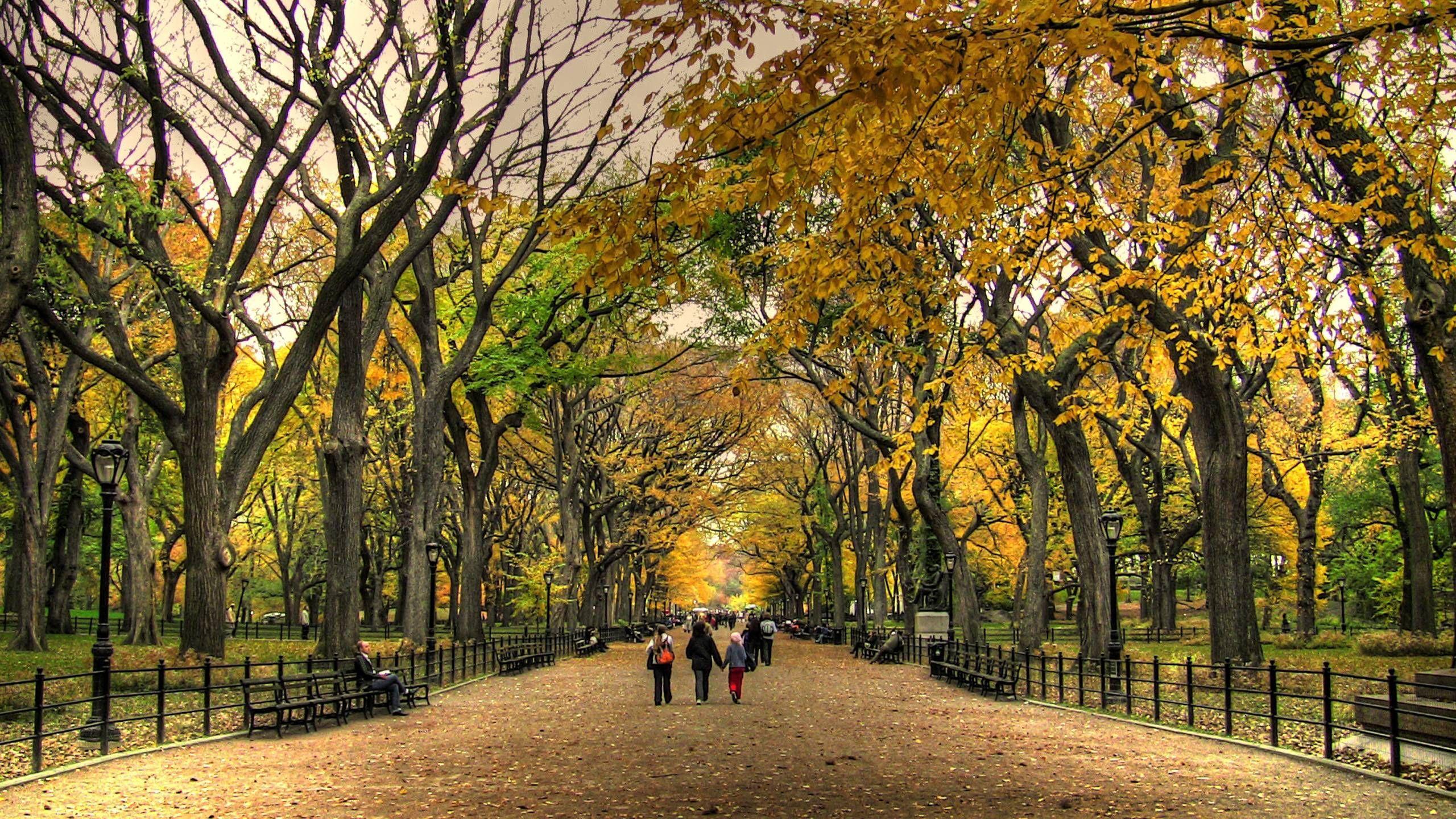 2560x1440 Central Park Wallpaper. Image Wallpaper