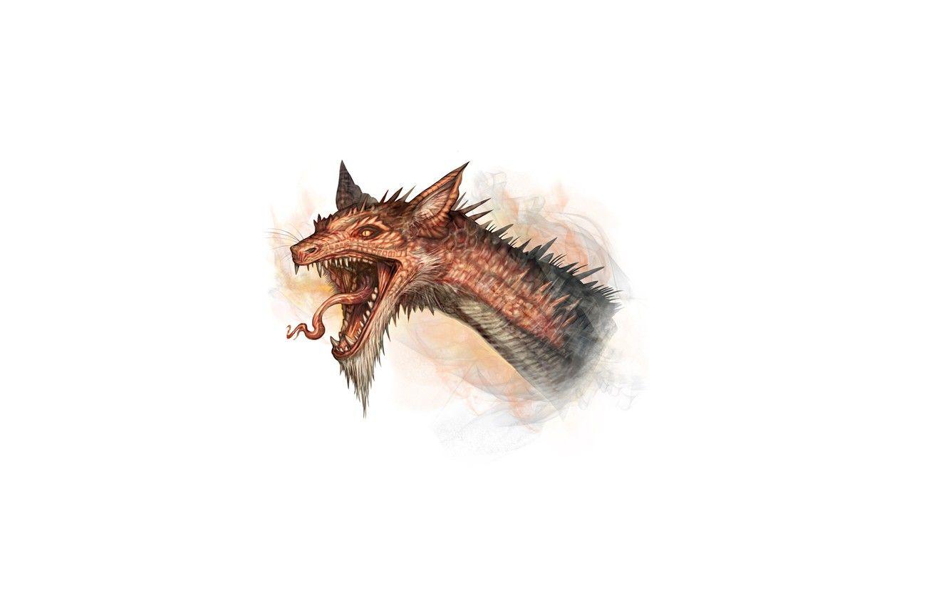 1332x850 Wallpaper dragon, minimalism, white background, dragon, Smaug image for desktop, section минимализм