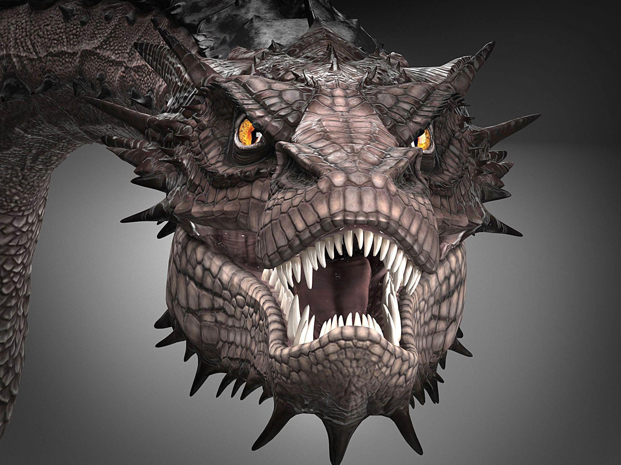 what kind of dragon is smaug