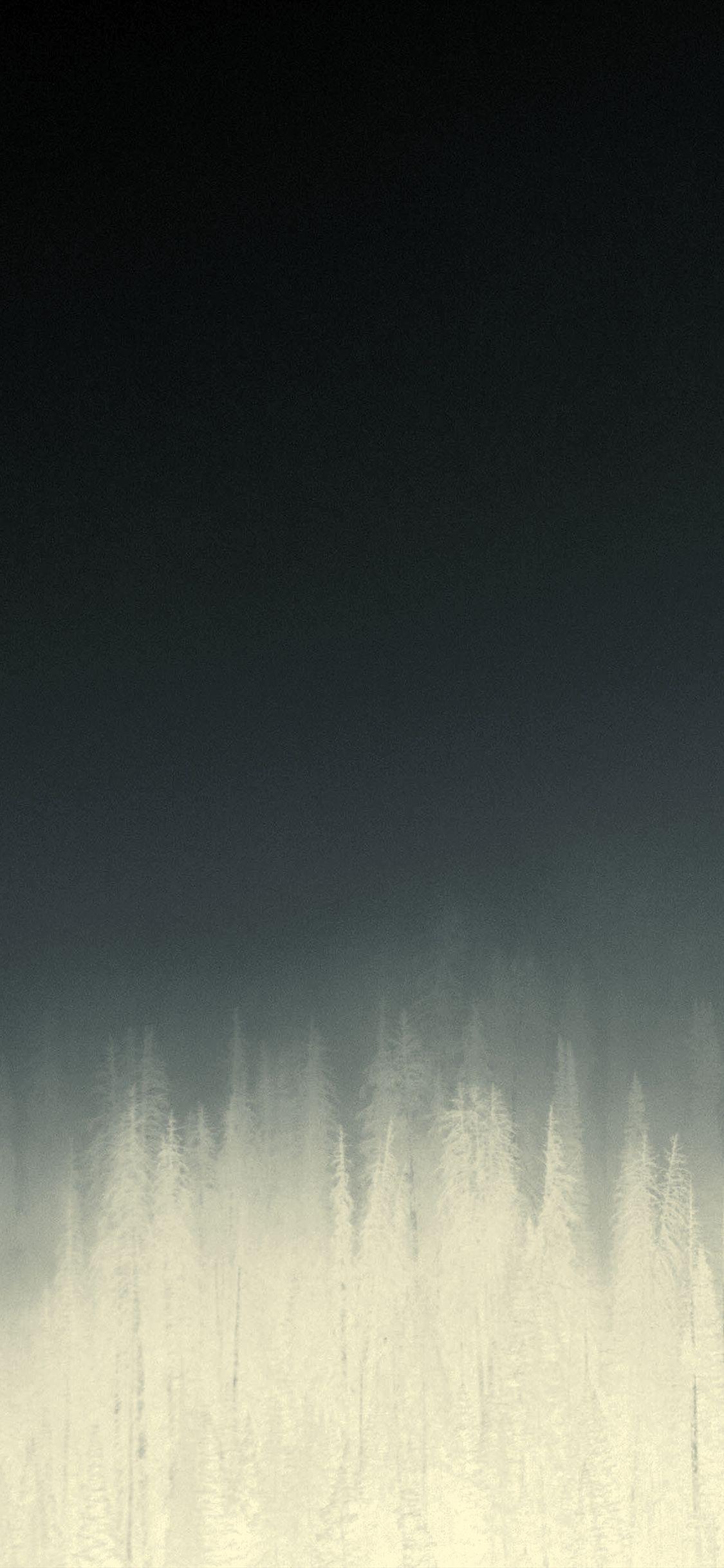 1125x2436 Fog Minimal Mountain Wood Nature Blue Dark Wallpaper