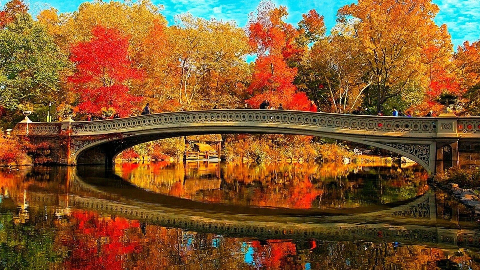 Central Park Wallpapers Top Free Central Park Backgrounds Wallpaperaccess