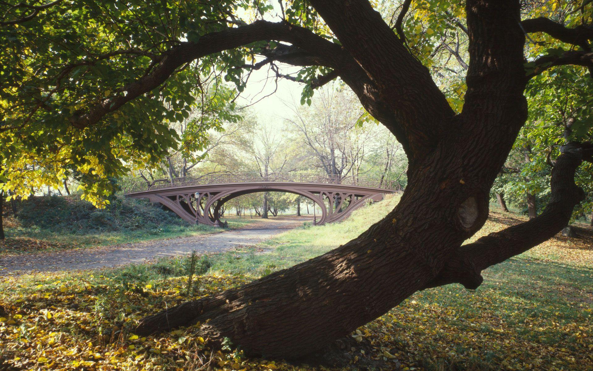 1920x1200 Central Park image Central Park HD wallpaper and background photo