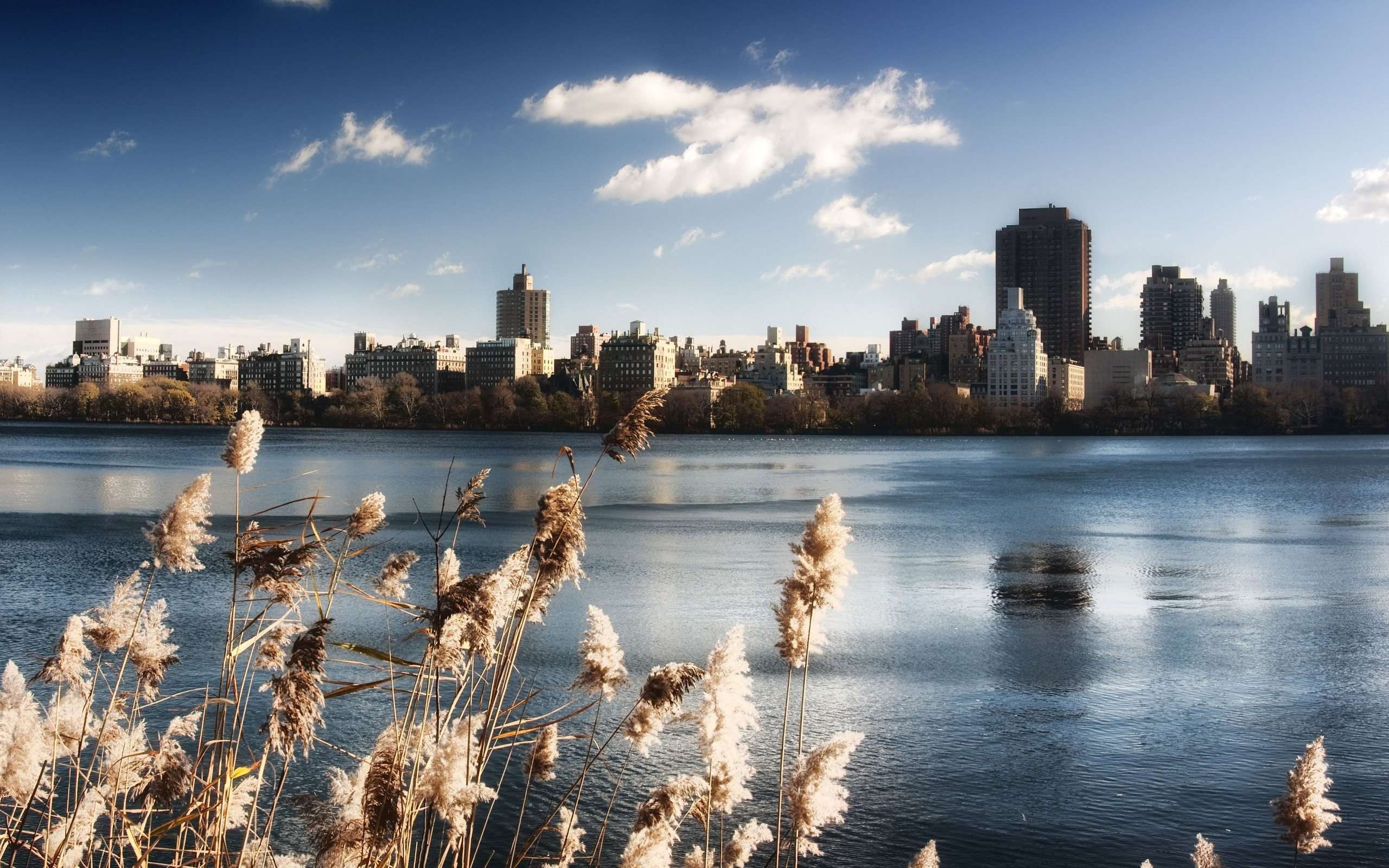 2560x1600 Central Park NYC 22026 2560x1600 px