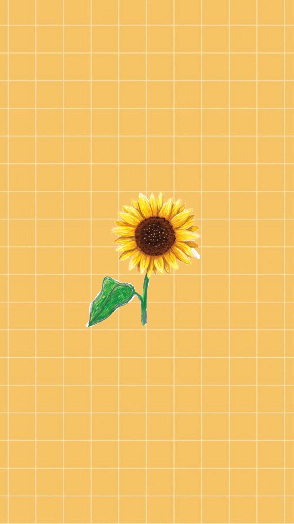 1242x2208 Aesthetic Sunflower Wallpaper