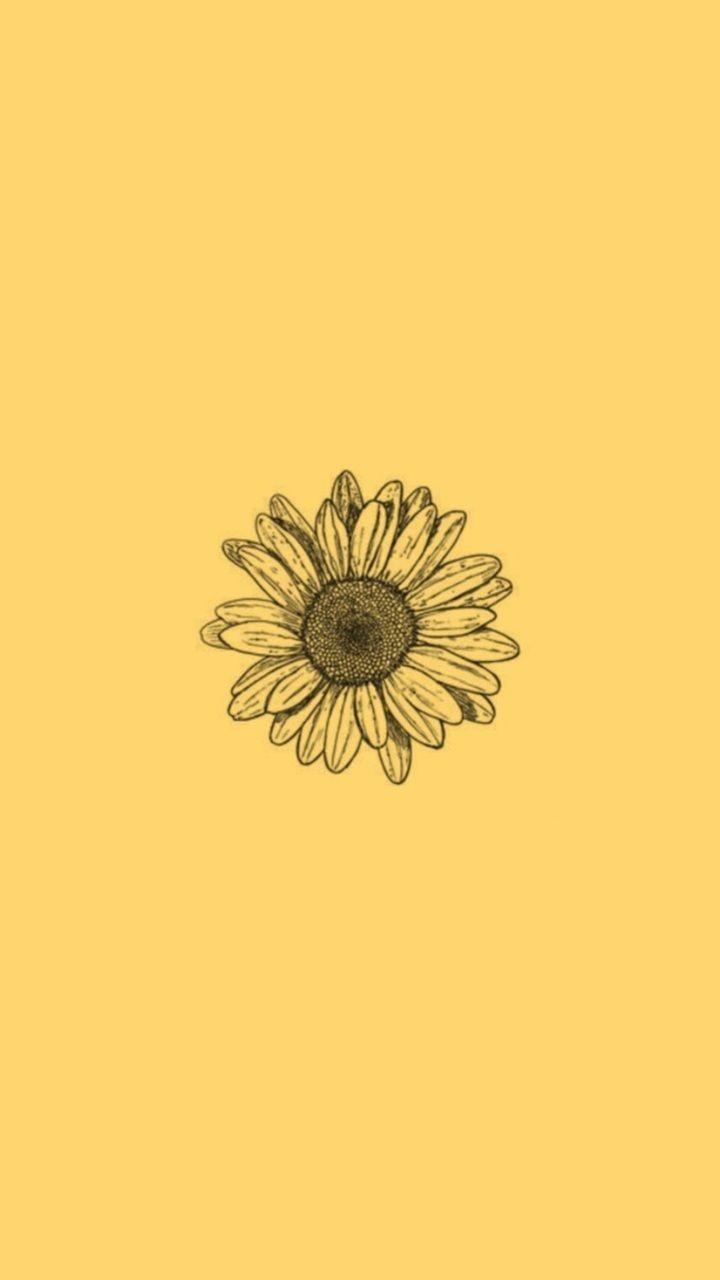 720x1280 Cute Sunflower Wallpaper 2020